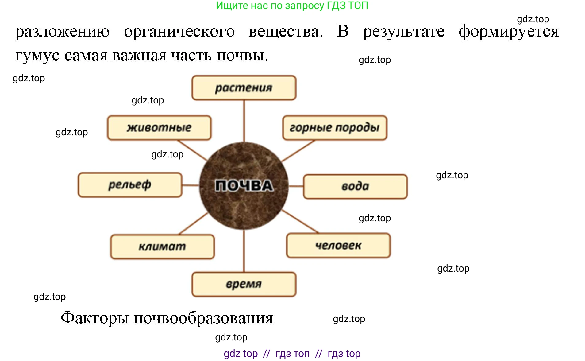 География, 5-6 класс Учебник, авторы: Алексеев Александр Иванович, Николина Вера Викторовна, Липкина Елена Карловна, Болысов Сергей Иванович, Кузнецова Галина Юрьевна, издательство Просвещение, Москва, 2023, жёлтого цвета, страница 164, номер 1, Решение2 (продолжение 2)