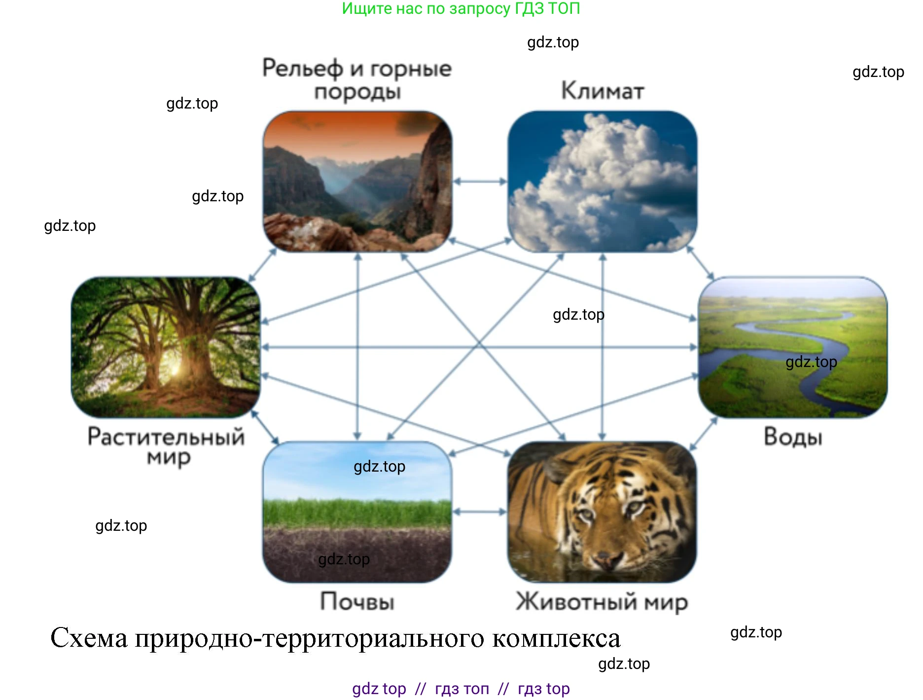 География, 5-6 класс Учебник, авторы: Алексеев Александр Иванович, Николина Вера Викторовна, Липкина Елена Карловна, Болысов Сергей Иванович, Кузнецова Галина Юрьевна, издательство Просвещение, Москва, 2023, жёлтого цвета, страница 171, номер 3, Решение2 (продолжение 2)