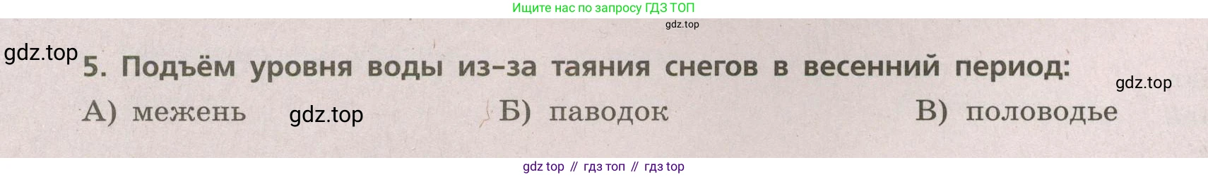 ГДЗ География, 5-6 класс Проверочные работы, авторы: Бондарева Мария Владимировна, Шидловский Игорь Михайлович, издательство Просвещение, Москва, 2023, жёлтого цвета, страница 36, номер 5, Условие