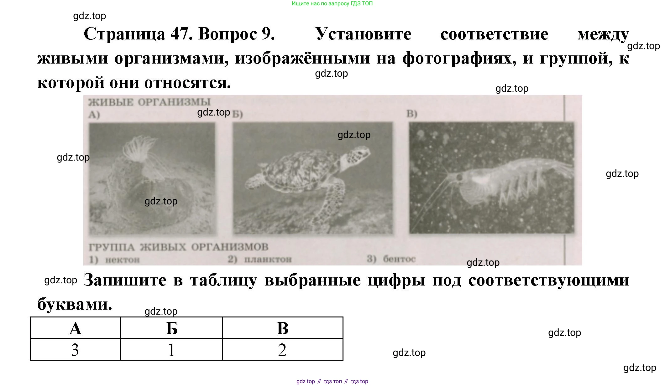 ГДЗ География, 5-6 класс Проверочные работы, авторы: Бондарева Мария Владимировна, Шидловский Игорь Михайлович, издательство Просвещение, Москва, 2023, жёлтого цвета, страница 47, номер 9, Решение