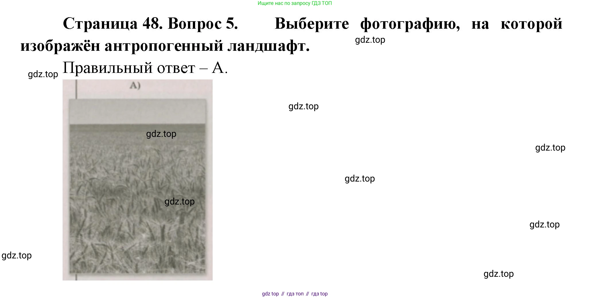 ГДЗ География, 5-6 класс Проверочные работы, авторы: Бондарева Мария Владимировна, Шидловский Игорь Михайлович, издательство Просвещение, Москва, 2023, жёлтого цвета, страница 48, номер 5, Решение