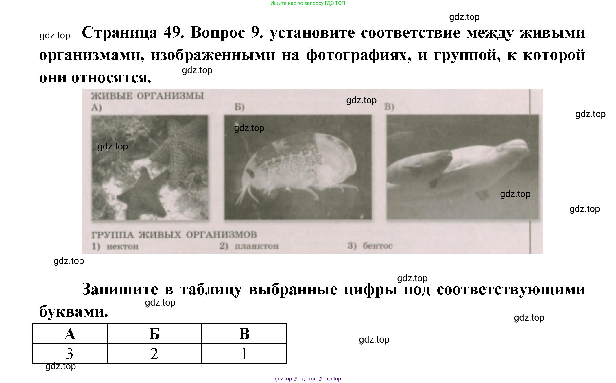 ГДЗ География, 5-6 класс Проверочные работы, авторы: Бондарева Мария Владимировна, Шидловский Игорь Михайлович, издательство Просвещение, Москва, 2023, жёлтого цвета, страница 49, номер 9, Решение