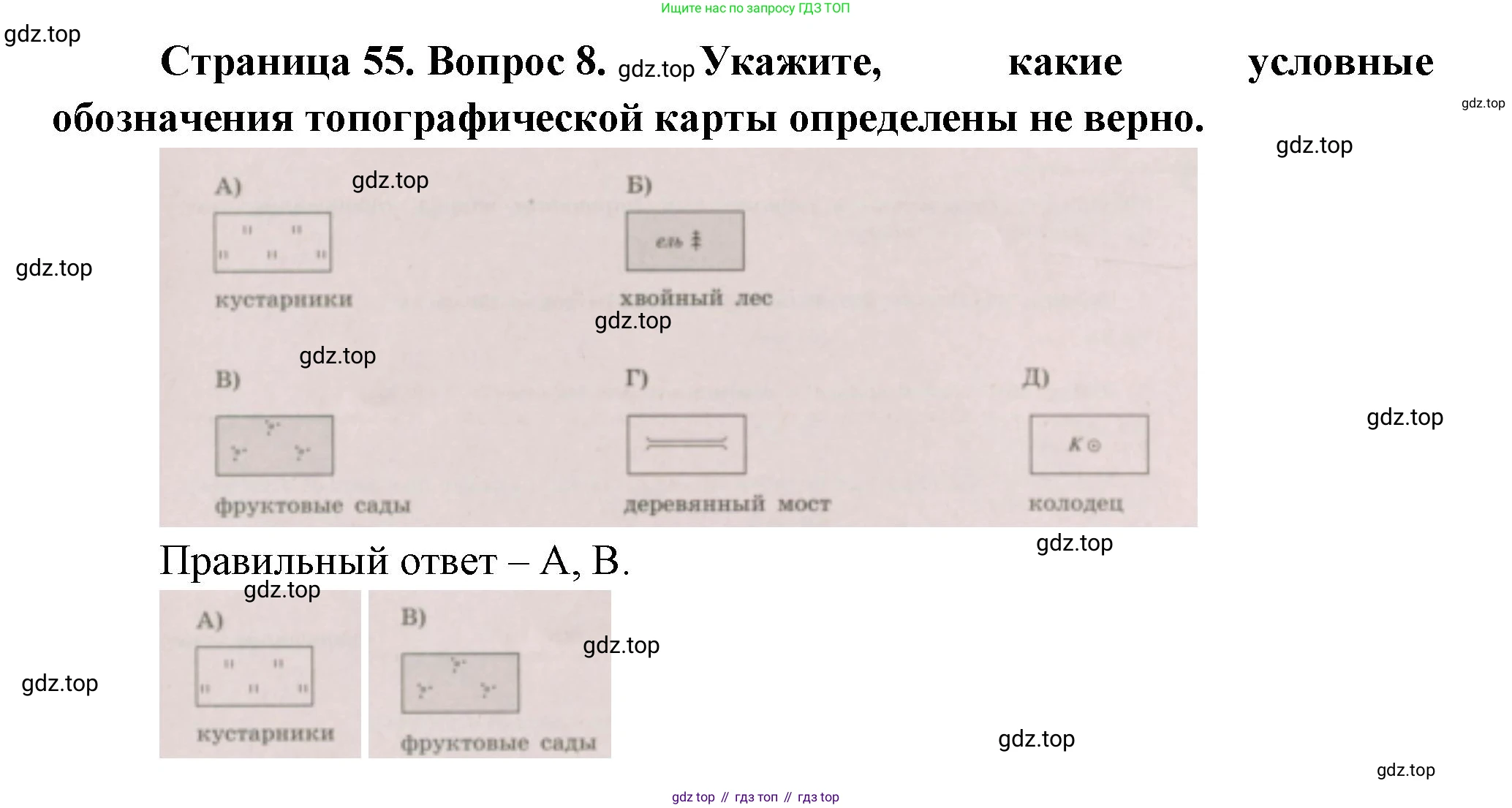 ГДЗ География, 5-6 класс Проверочные работы, авторы: Бондарева Мария Владимировна, Шидловский Игорь Михайлович, издательство Просвещение, Москва, 2023, жёлтого цвета, страница 55, номер 8, Решение