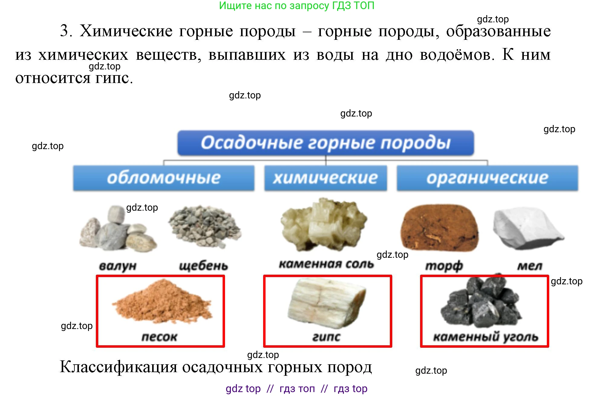 География, 5-6 класс Проверочные работы, авторы: Бондарева Мария Владимировна, Шидловский Игорь Михайлович, издательство Просвещение, Москва, 2023, жёлтого цвета, страница 22, номер 2, Решение 2 (продолжение 2)