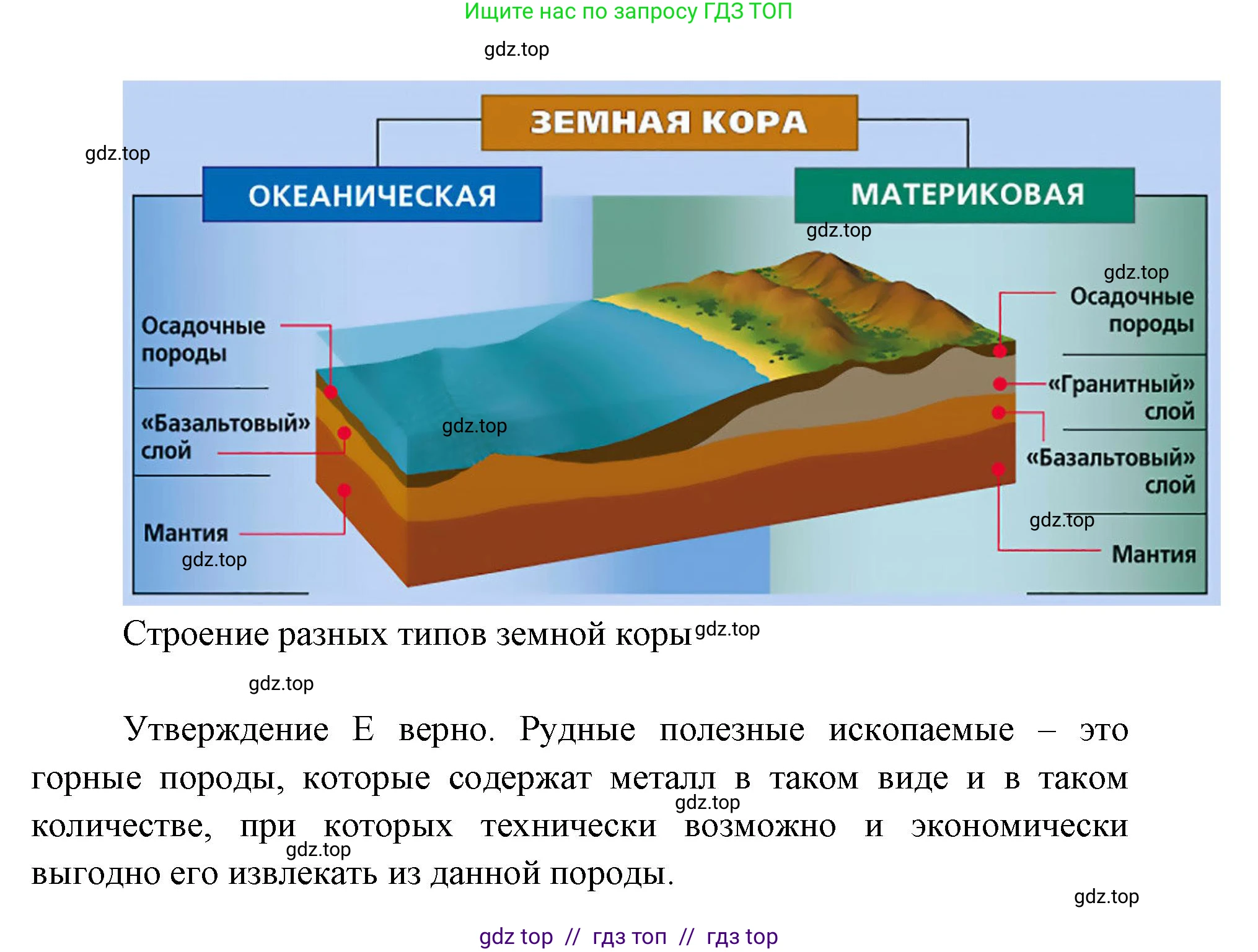 География, 5-6 класс Проверочные работы, авторы: Бондарева Мария Владимировна, Шидловский Игорь Михайлович, издательство Просвещение, Москва, 2023, жёлтого цвета, страница 23, номер 8, Решение 2 (продолжение 3)