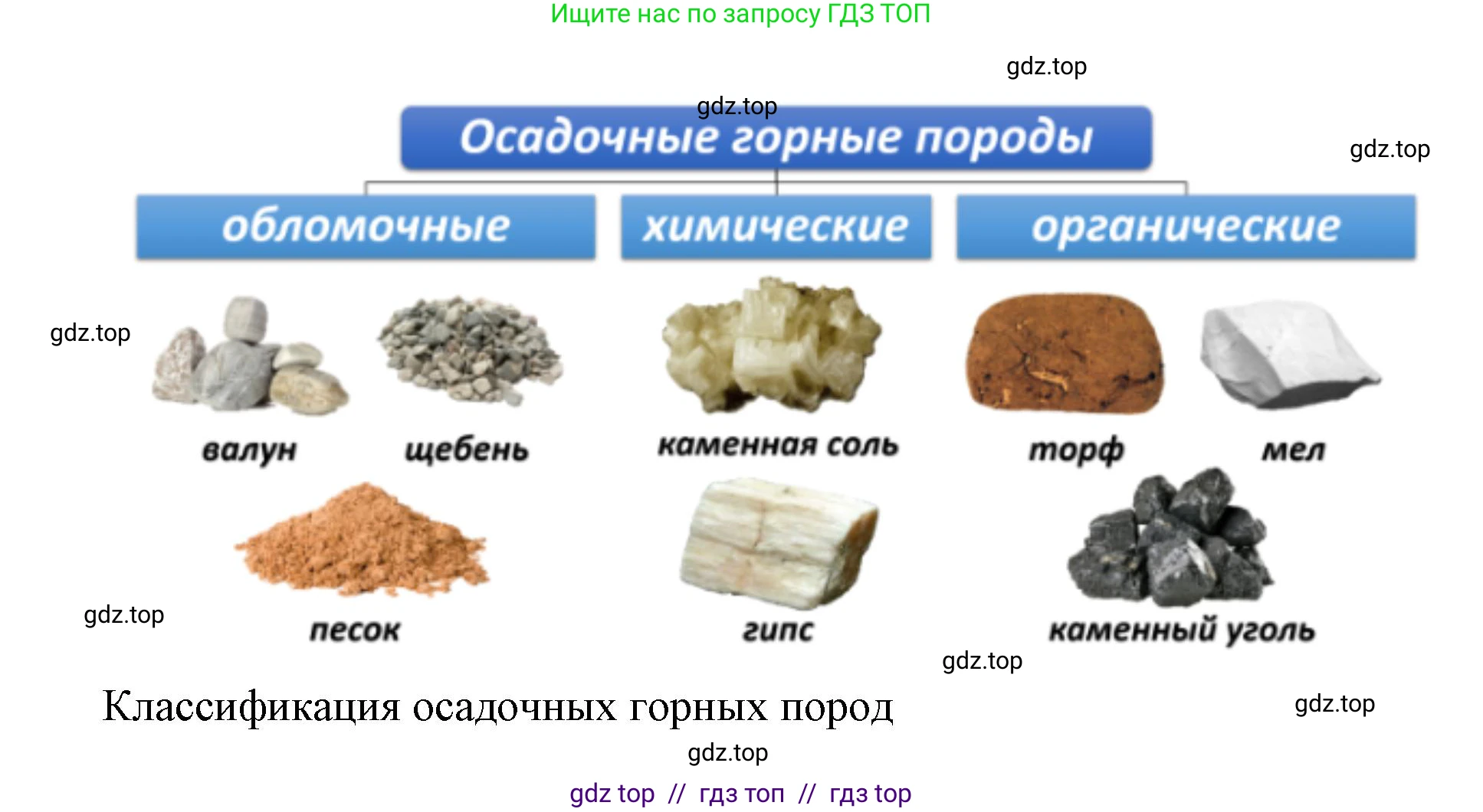 География, 5-6 класс Проверочные работы, авторы: Бондарева Мария Владимировна, Шидловский Игорь Михайлович, издательство Просвещение, Москва, 2023, жёлтого цвета, страница 24, номер 2, Решение 2 (продолжение 2)