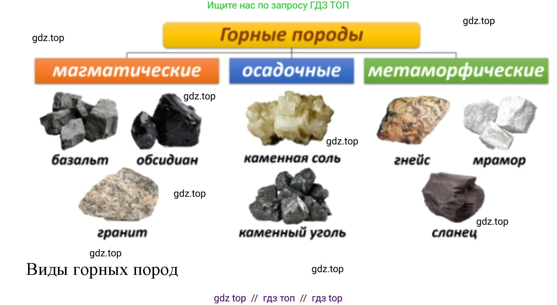 География, 5-6 класс Проверочные работы, авторы: Бондарева Мария Владимировна, Шидловский Игорь Михайлович, издательство Просвещение, Москва, 2023, жёлтого цвета, страница 25, номер 9, Решение 2 (продолжение 2)