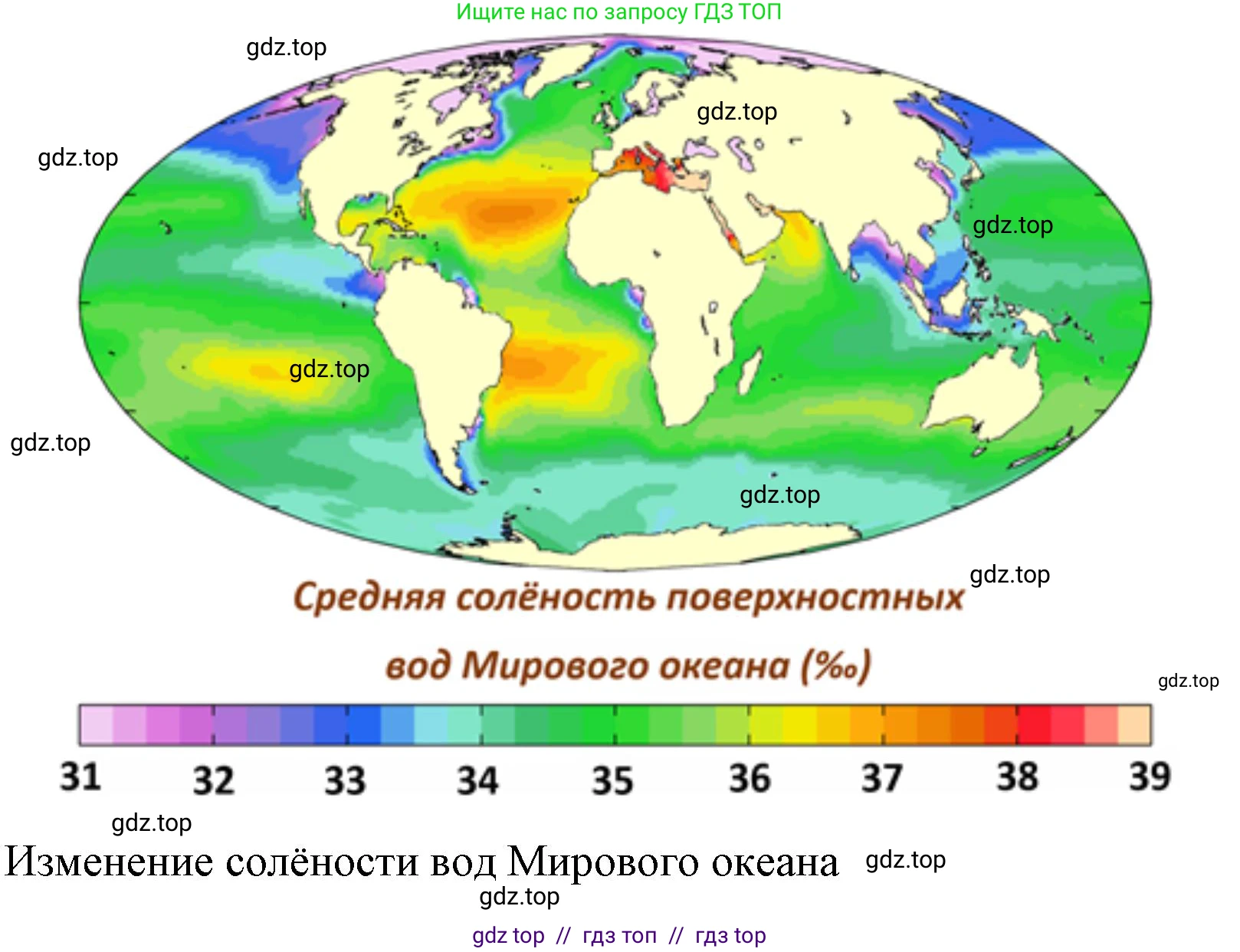 География, 5-6 класс Проверочные работы, авторы: Бондарева Мария Владимировна, Шидловский Игорь Михайлович, издательство Просвещение, Москва, 2023, жёлтого цвета, страница 31, номер 10, Решение 2 (продолжение 3)