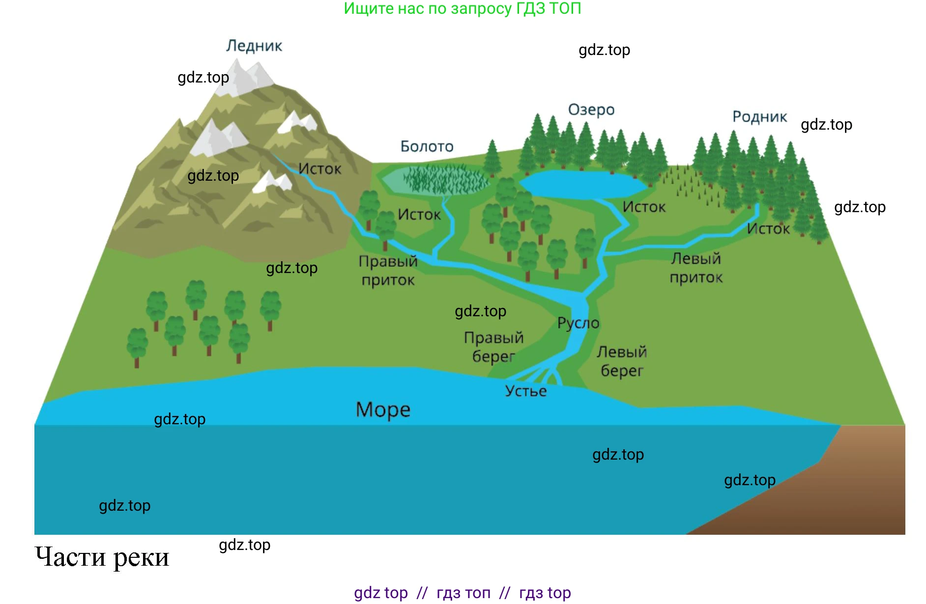 География, 5-6 класс Проверочные работы, авторы: Бондарева Мария Владимировна, Шидловский Игорь Михайлович, издательство Просвещение, Москва, 2023, жёлтого цвета, страница 36, номер 8, Решение 2 (продолжение 2)