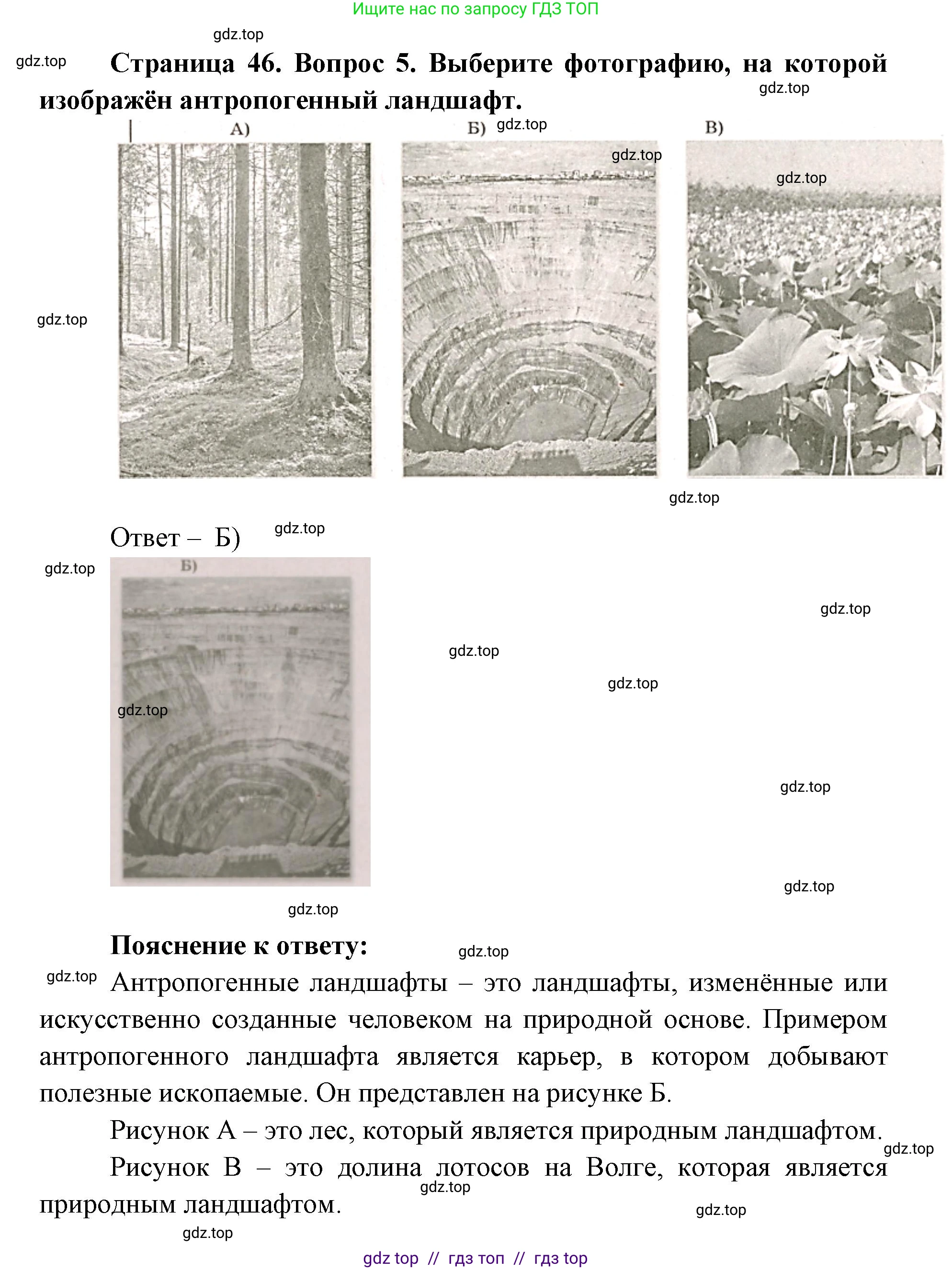 География, 5-6 класс Проверочные работы, авторы: Бондарева Мария Владимировна, Шидловский Игорь Михайлович, издательство Просвещение, Москва, 2023, жёлтого цвета, страница 46, номер 5, Решение 2