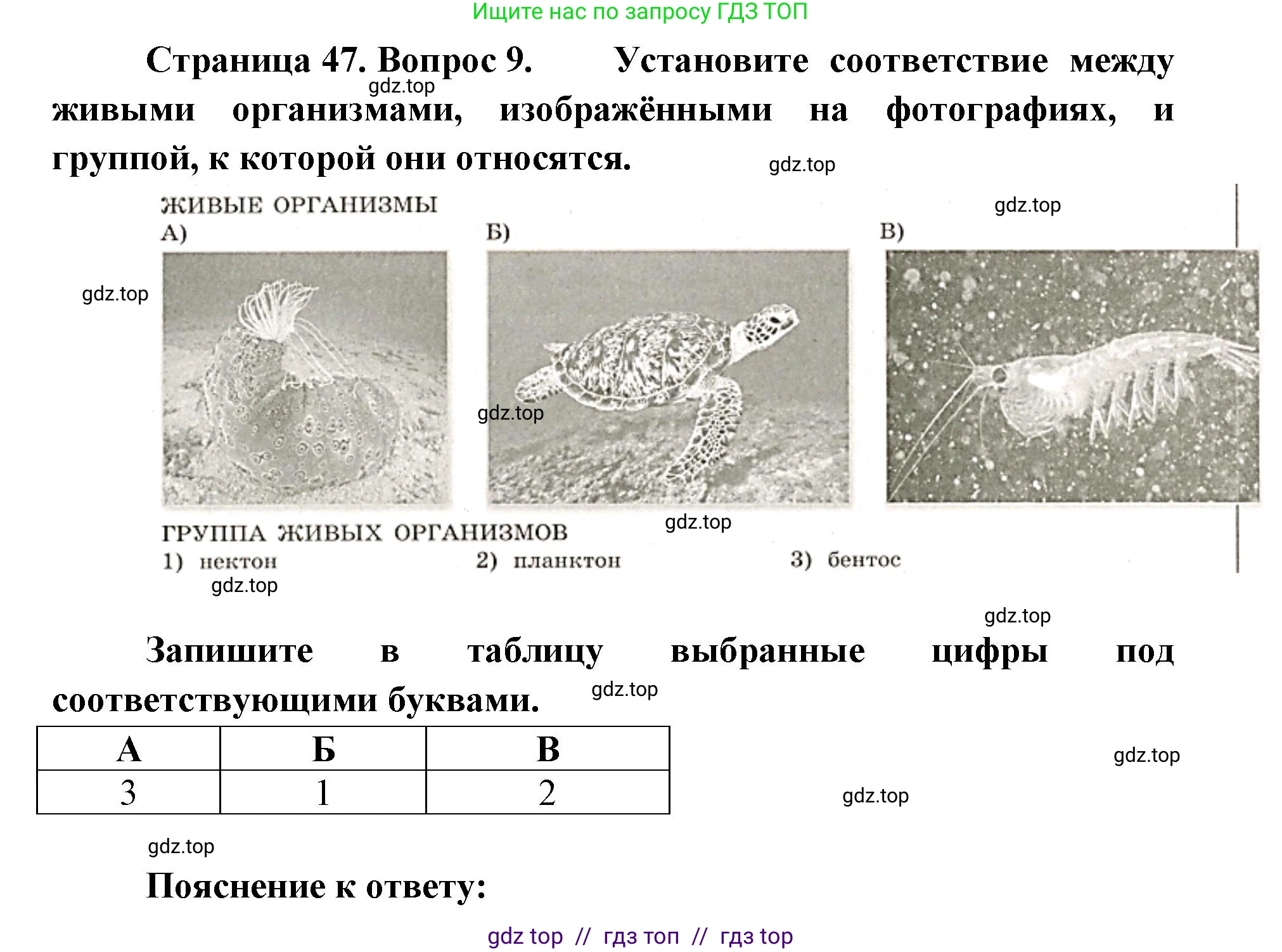 География, 5-6 класс Проверочные работы, авторы: Бондарева Мария Владимировна, Шидловский Игорь Михайлович, издательство Просвещение, Москва, 2023, жёлтого цвета, страница 47, номер 9, Решение 2