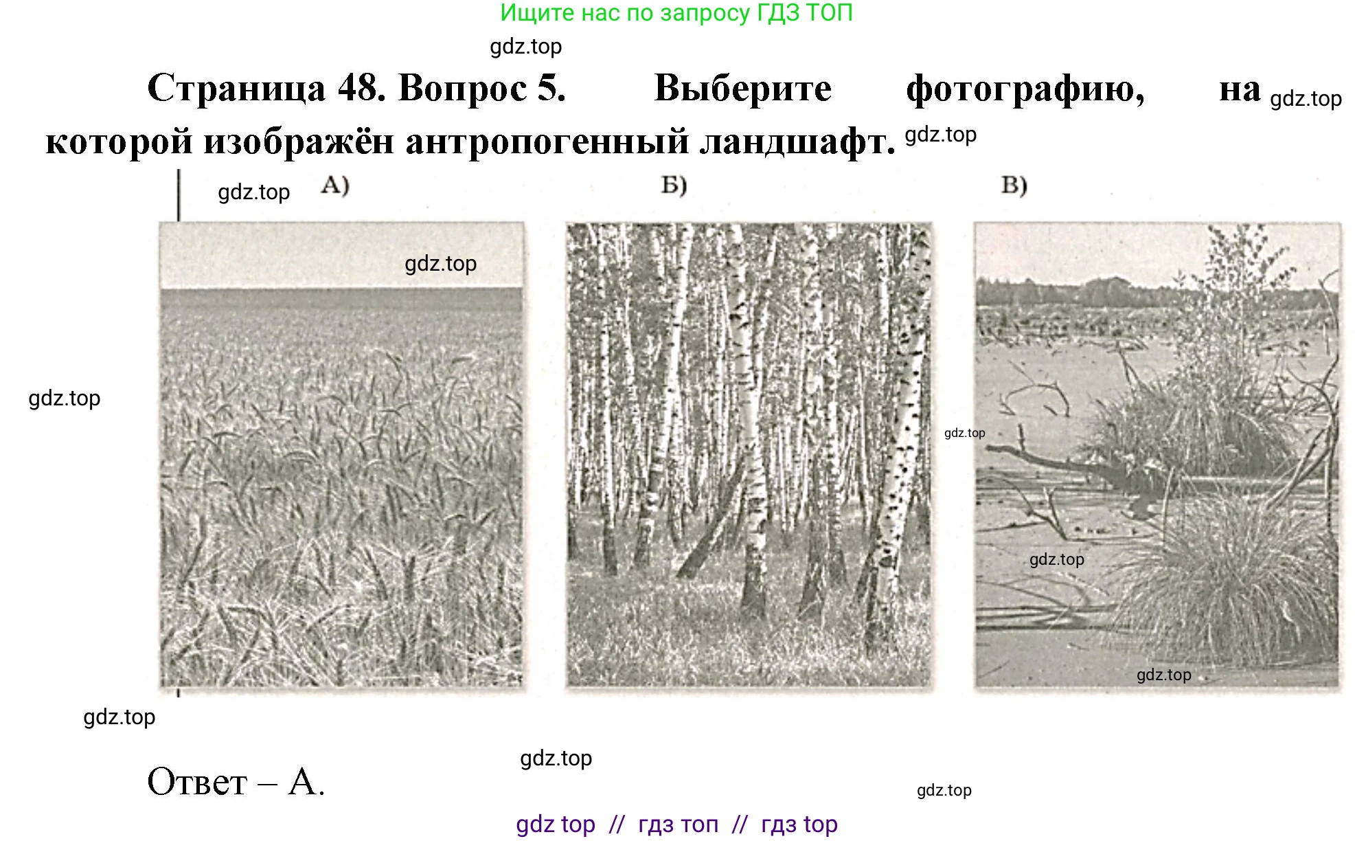 География, 5-6 класс Проверочные работы, авторы: Бондарева Мария Владимировна, Шидловский Игорь Михайлович, издательство Просвещение, Москва, 2023, жёлтого цвета, страница 48, номер 5, Решение 2