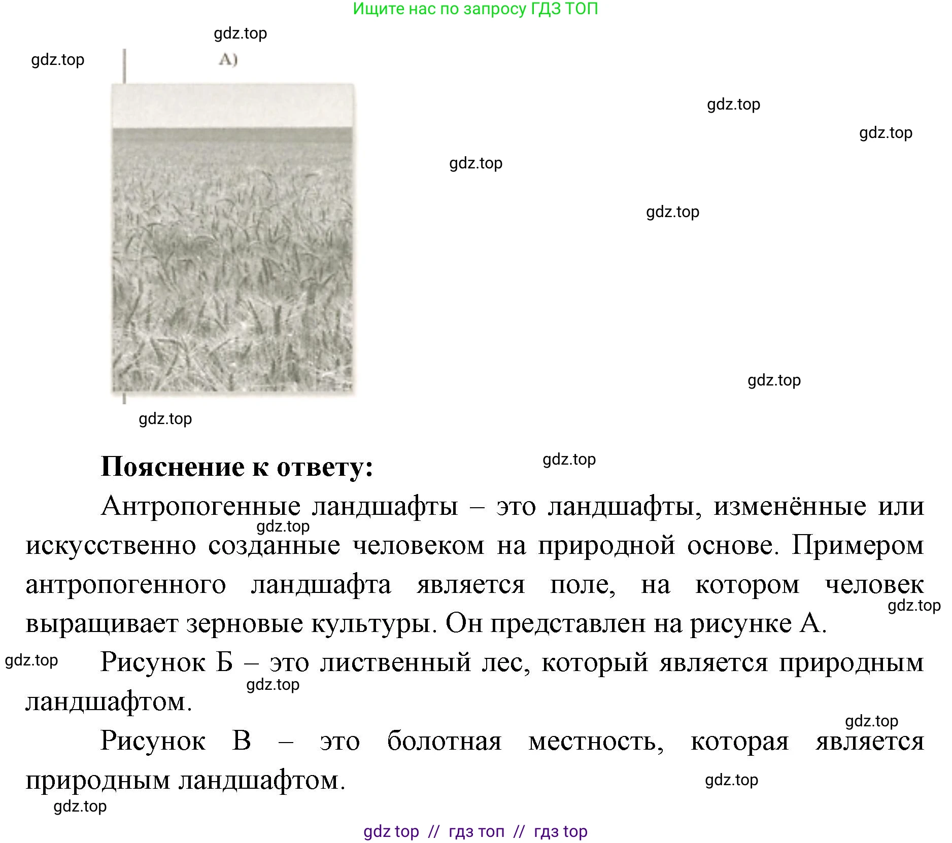 География, 5-6 класс Проверочные работы, авторы: Бондарева Мария Владимировна, Шидловский Игорь Михайлович, издательство Просвещение, Москва, 2023, жёлтого цвета, страница 48, номер 5, Решение 2 (продолжение 2)