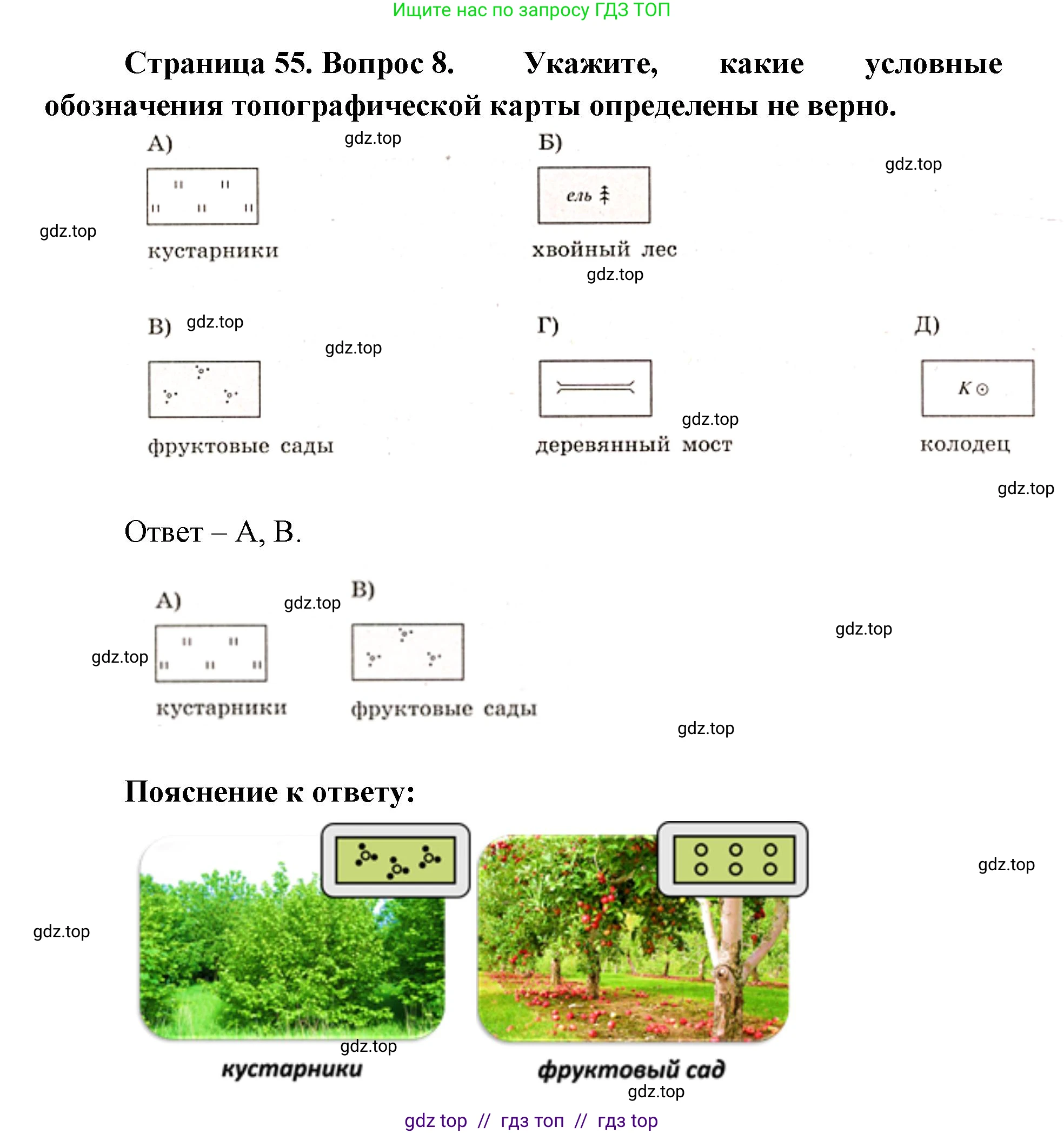 География, 5-6 класс Проверочные работы, авторы: Бондарева Мария Владимировна, Шидловский Игорь Михайлович, издательство Просвещение, Москва, 2023, жёлтого цвета, страница 55, номер 8, Решение 2