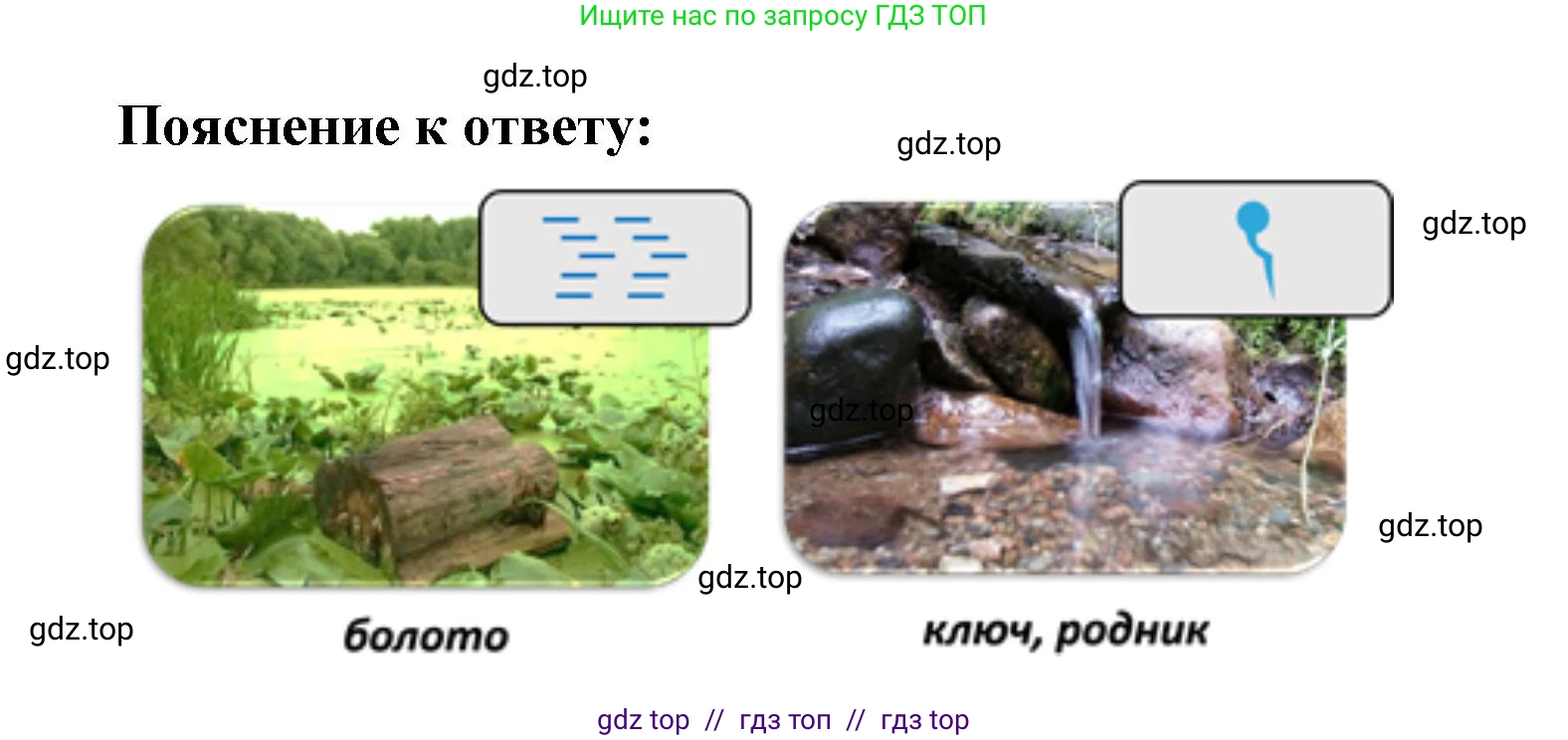 География, 5-6 класс Проверочные работы, авторы: Бондарева Мария Владимировна, Шидловский Игорь Михайлович, издательство Просвещение, Москва, 2023, жёлтого цвета, страница 57, номер 8, Решение 2 (продолжение 2)
