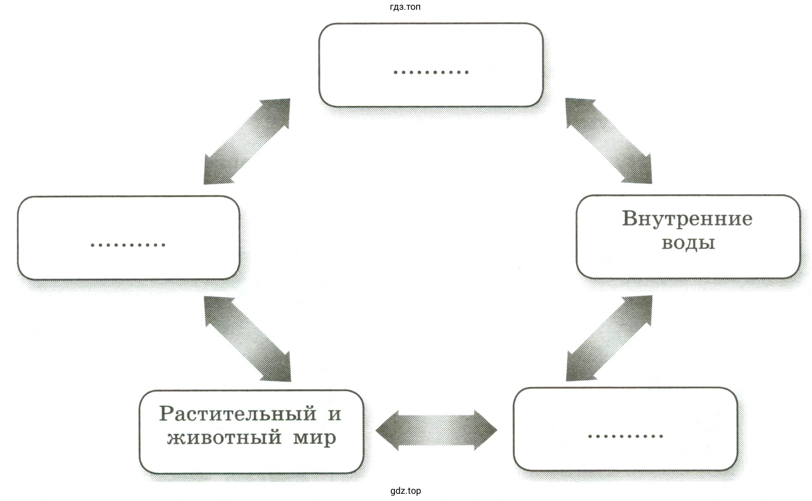 записать недостающие компоненты для изучения выбранного локального природного комплекса.