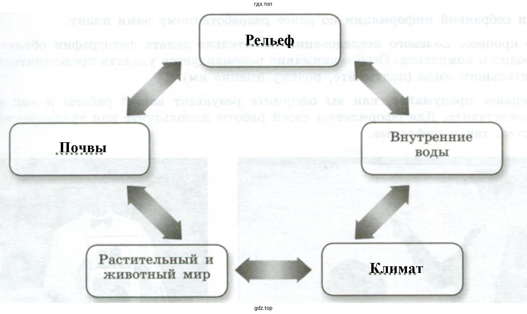 записать недостающие компоненты для изучения выбранного локального природного комплекса.