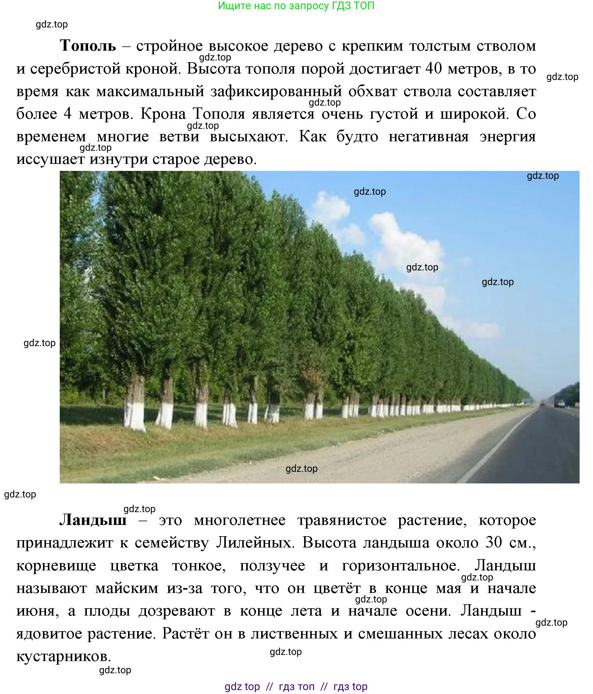 География, 5-6 класс Практические работы, автор: Дубинина Софья Петровна, издательство Просвещение, Москва, 2023, жёлтого цвета, страница 4, номер 2, Решение 2 (продолжение 10)
