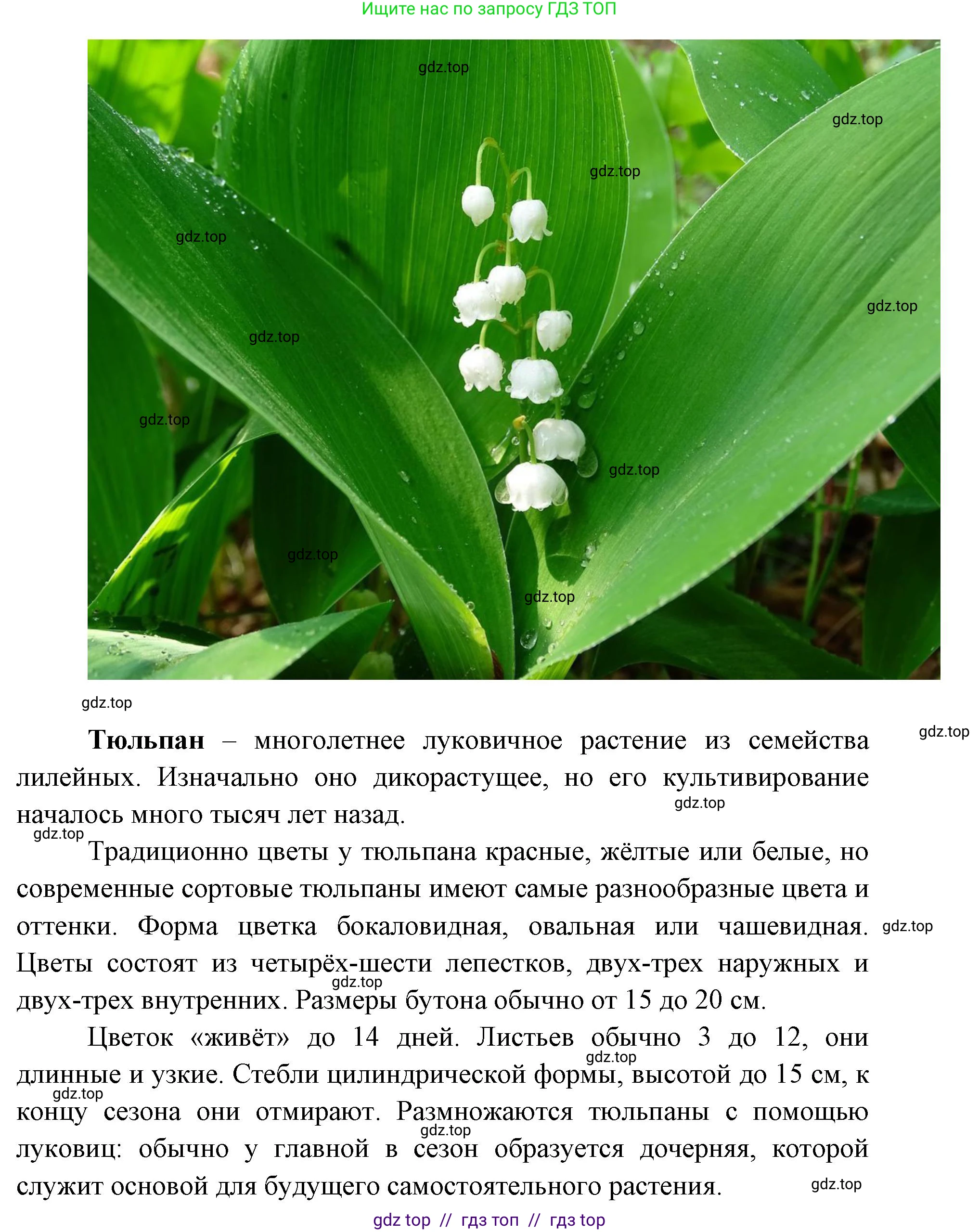 География, 5-6 класс Практические работы, автор: Дубинина Софья Петровна, издательство Просвещение, Москва, 2023, жёлтого цвета, страница 4, номер 2, Решение 2 (продолжение 11)