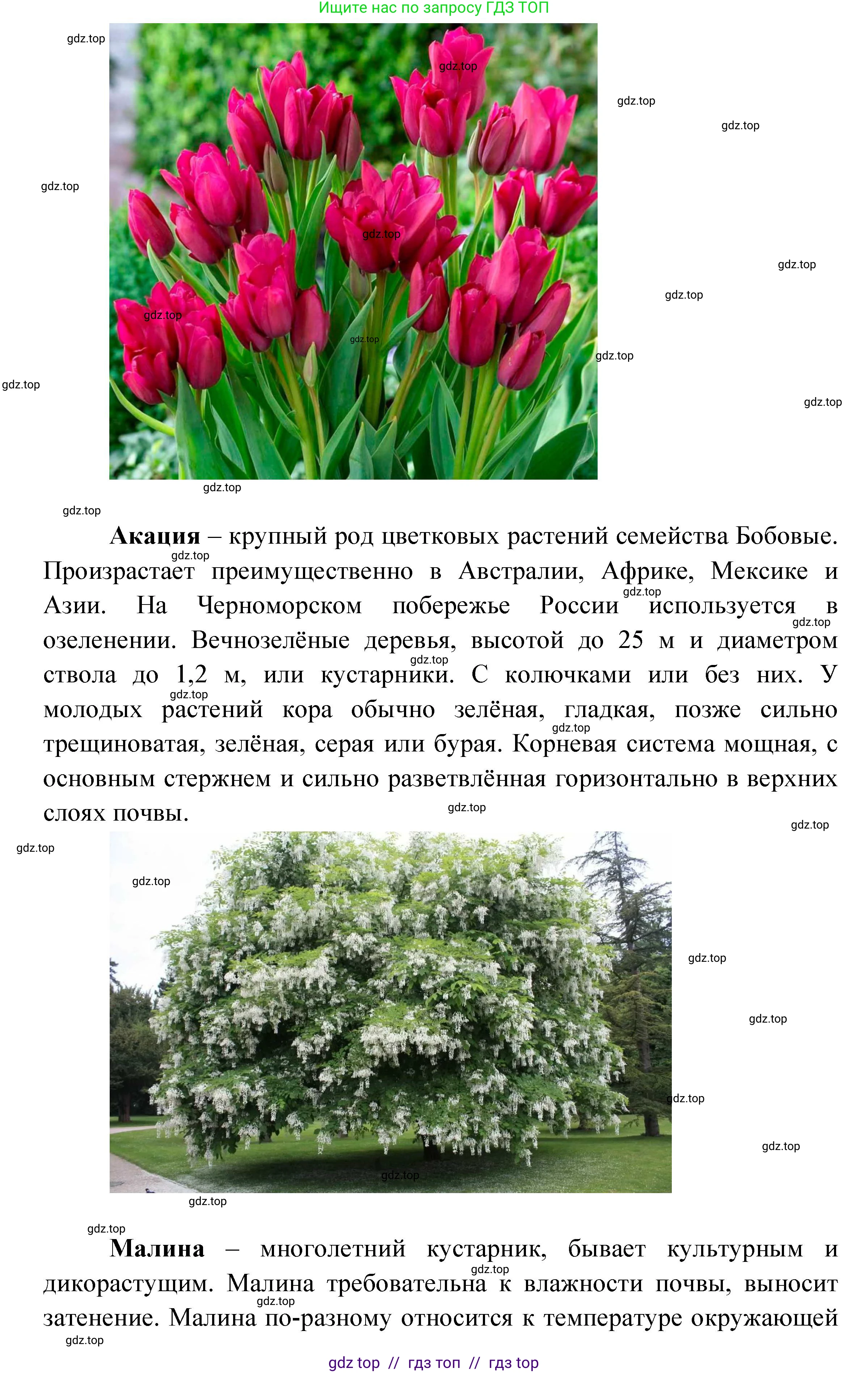 География, 5-6 класс Практические работы, автор: Дубинина Софья Петровна, издательство Просвещение, Москва, 2023, жёлтого цвета, страница 4, номер 2, Решение 2 (продолжение 12)