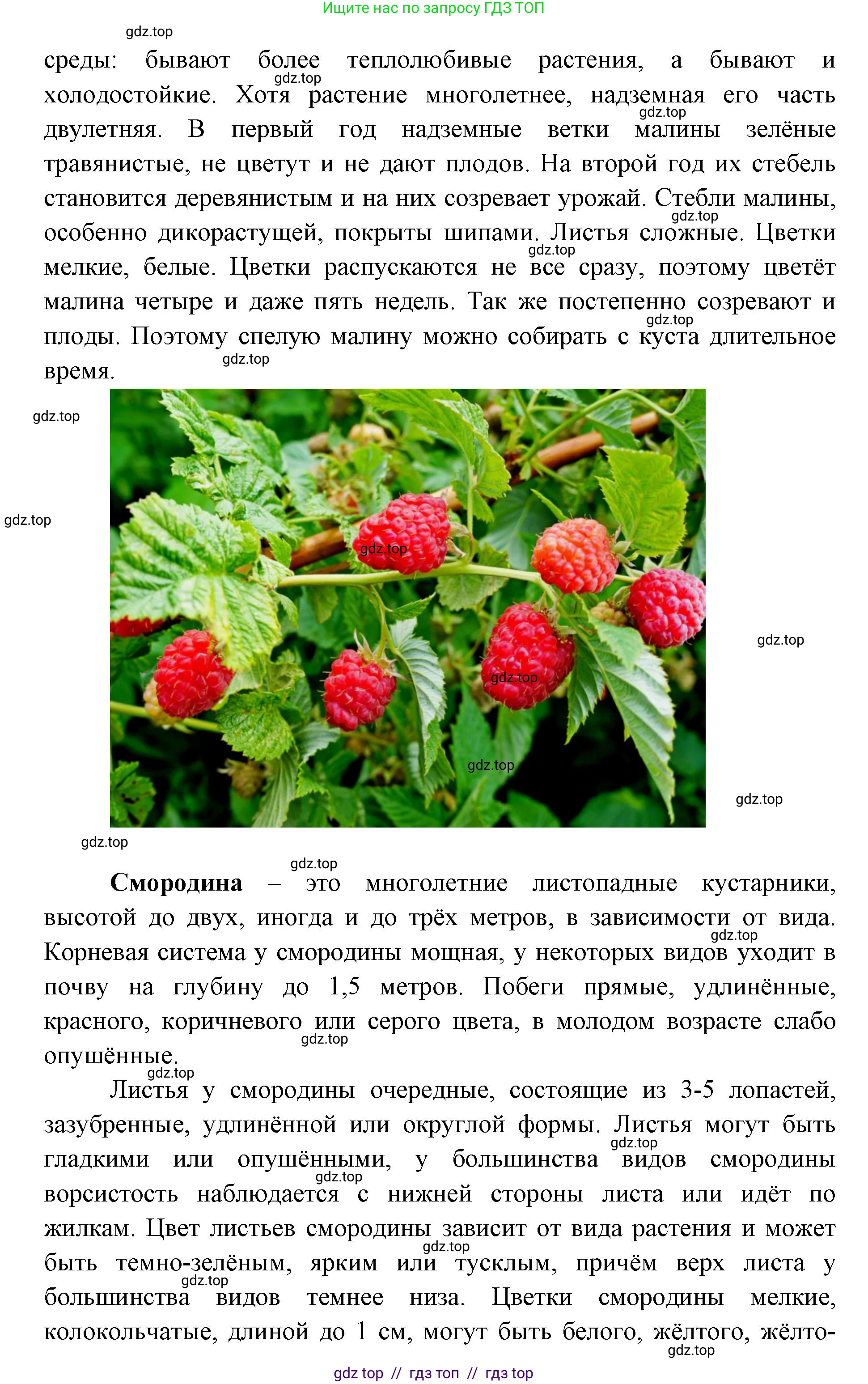 География, 5-6 класс Практические работы, автор: Дубинина Софья Петровна, издательство Просвещение, Москва, 2023, жёлтого цвета, страница 4, номер 2, Решение 2 (продолжение 13)