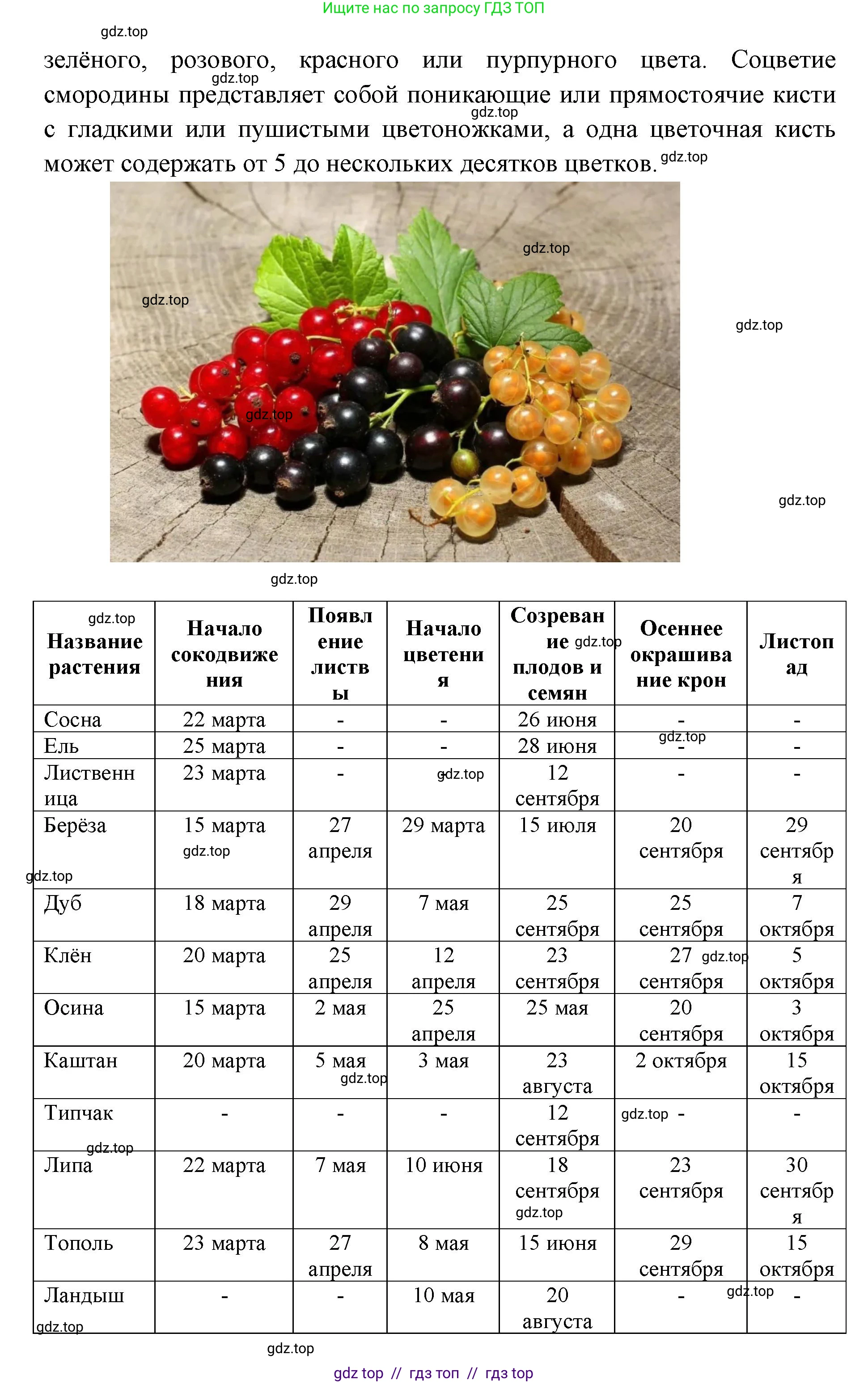 География, 5-6 класс Практические работы, автор: Дубинина Софья Петровна, издательство Просвещение, Москва, 2023, жёлтого цвета, страница 4, номер 2, Решение 2 (продолжение 14)