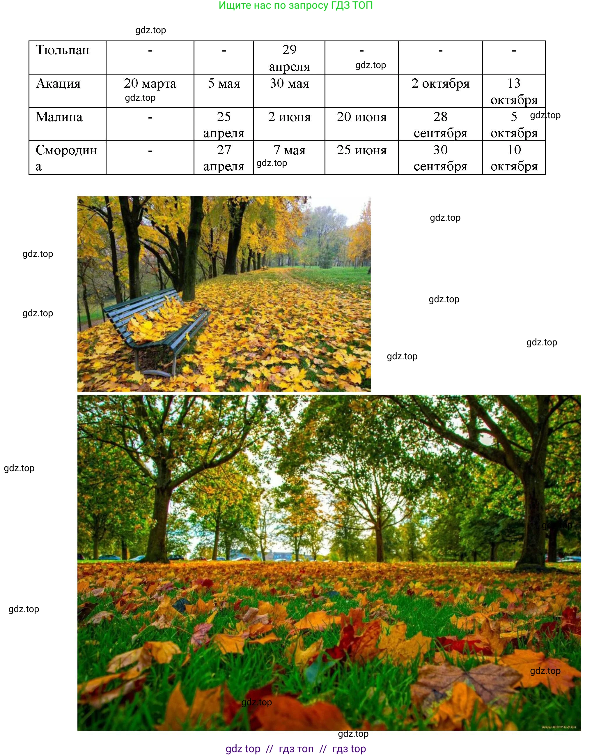 География, 5-6 класс Практические работы, автор: Дубинина Софья Петровна, издательство Просвещение, Москва, 2023, жёлтого цвета, страница 4, номер 2, Решение 2 (продолжение 15)