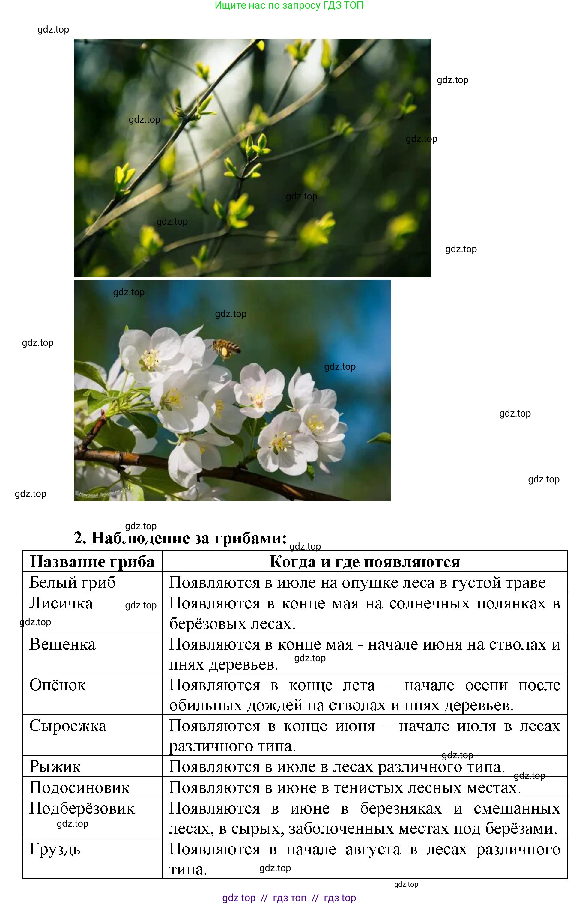 География, 5-6 класс Практические работы, автор: Дубинина Софья Петровна, издательство Просвещение, Москва, 2023, жёлтого цвета, страница 4, номер 2, Решение 2 (продолжение 16)