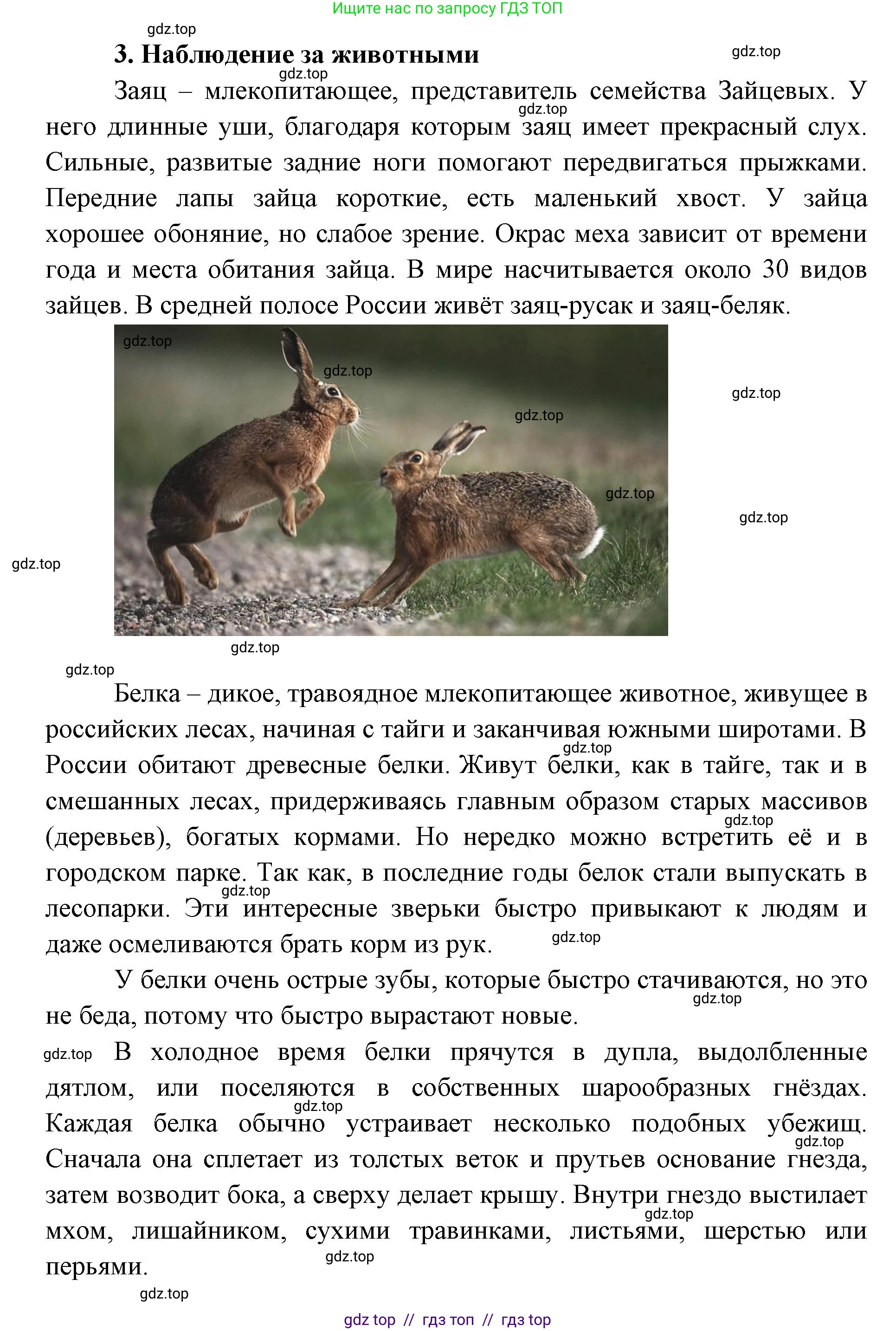 География, 5-6 класс Практические работы, автор: Дубинина Софья Петровна, издательство Просвещение, Москва, 2023, жёлтого цвета, страница 4, номер 2, Решение 2 (продолжение 17)
