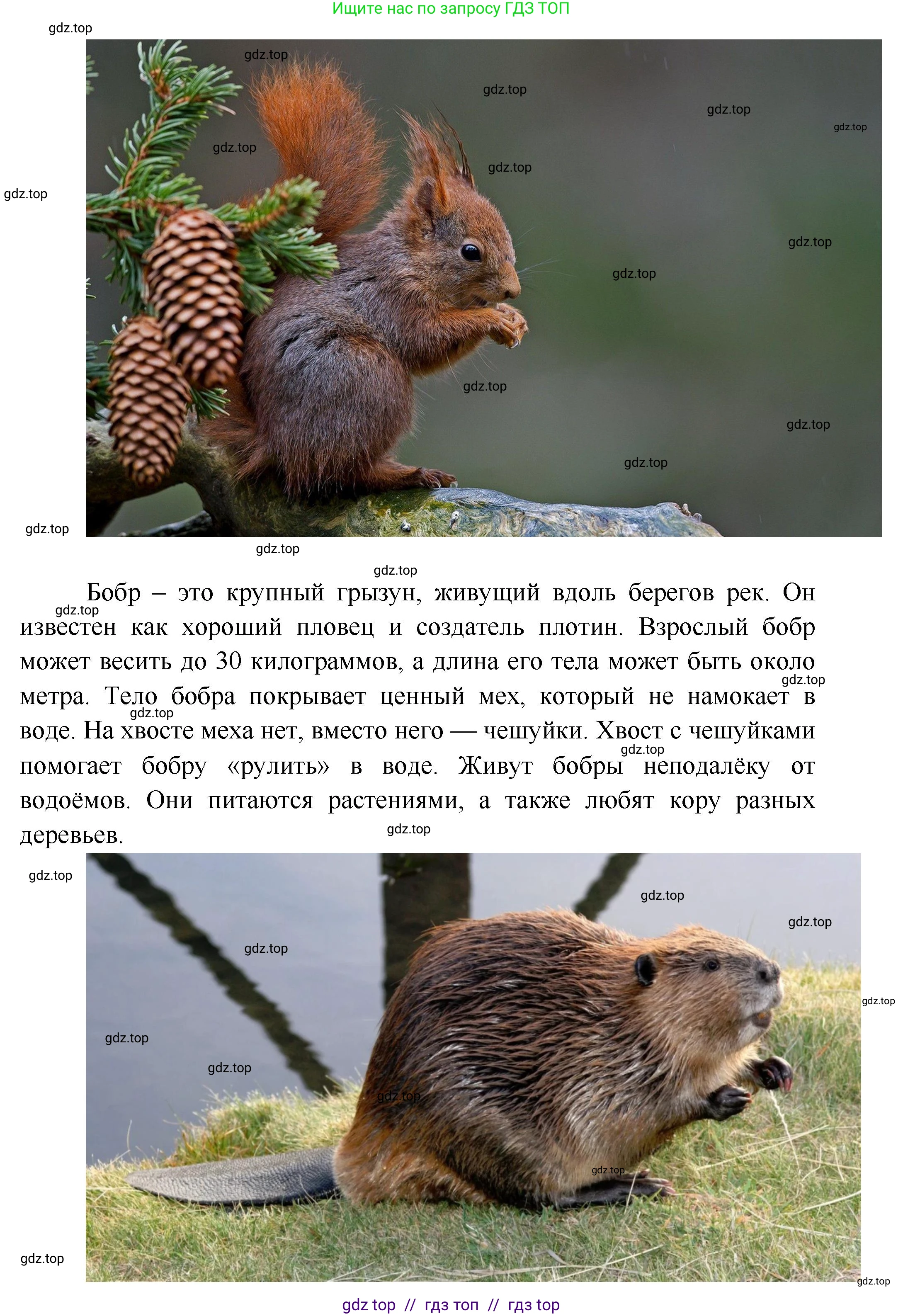 География, 5-6 класс Практические работы, автор: Дубинина Софья Петровна, издательство Просвещение, Москва, 2023, жёлтого цвета, страница 4, номер 2, Решение 2 (продолжение 18)