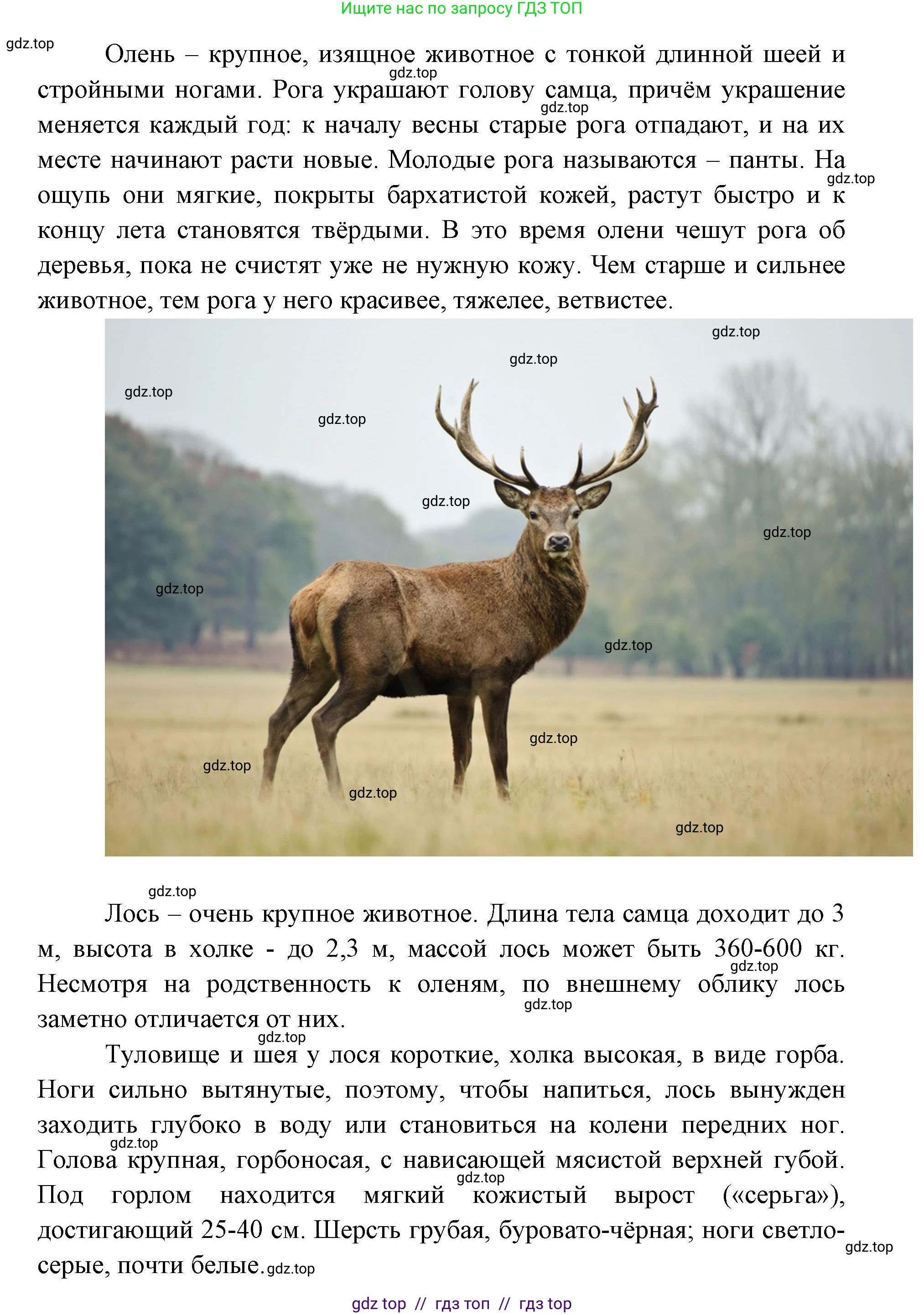 География, 5-6 класс Практические работы, автор: Дубинина Софья Петровна, издательство Просвещение, Москва, 2023, жёлтого цвета, страница 4, номер 2, Решение 2 (продолжение 19)