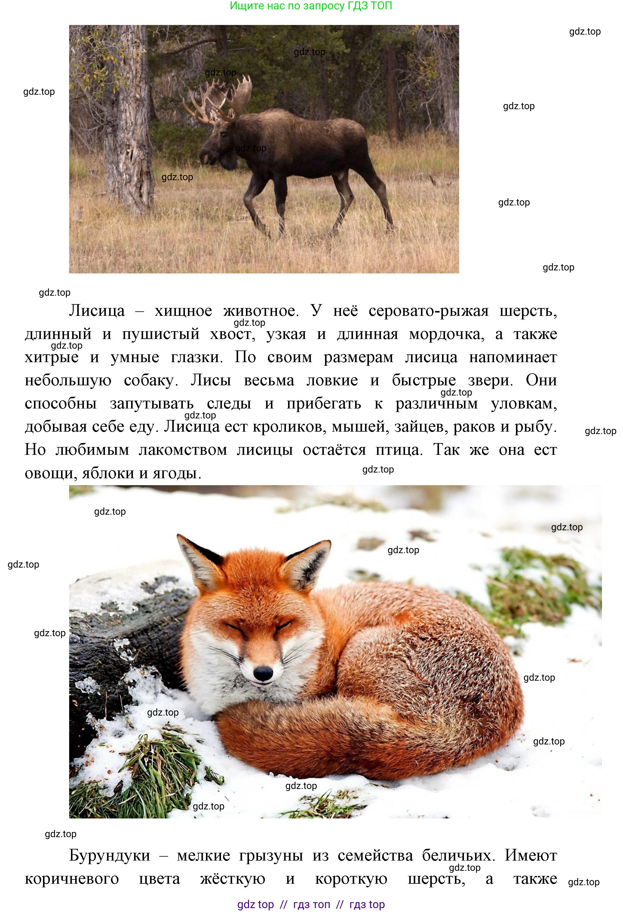 География, 5-6 класс Практические работы, автор: Дубинина Софья Петровна, издательство Просвещение, Москва, 2023, жёлтого цвета, страница 4, номер 2, Решение 2 (продолжение 20)