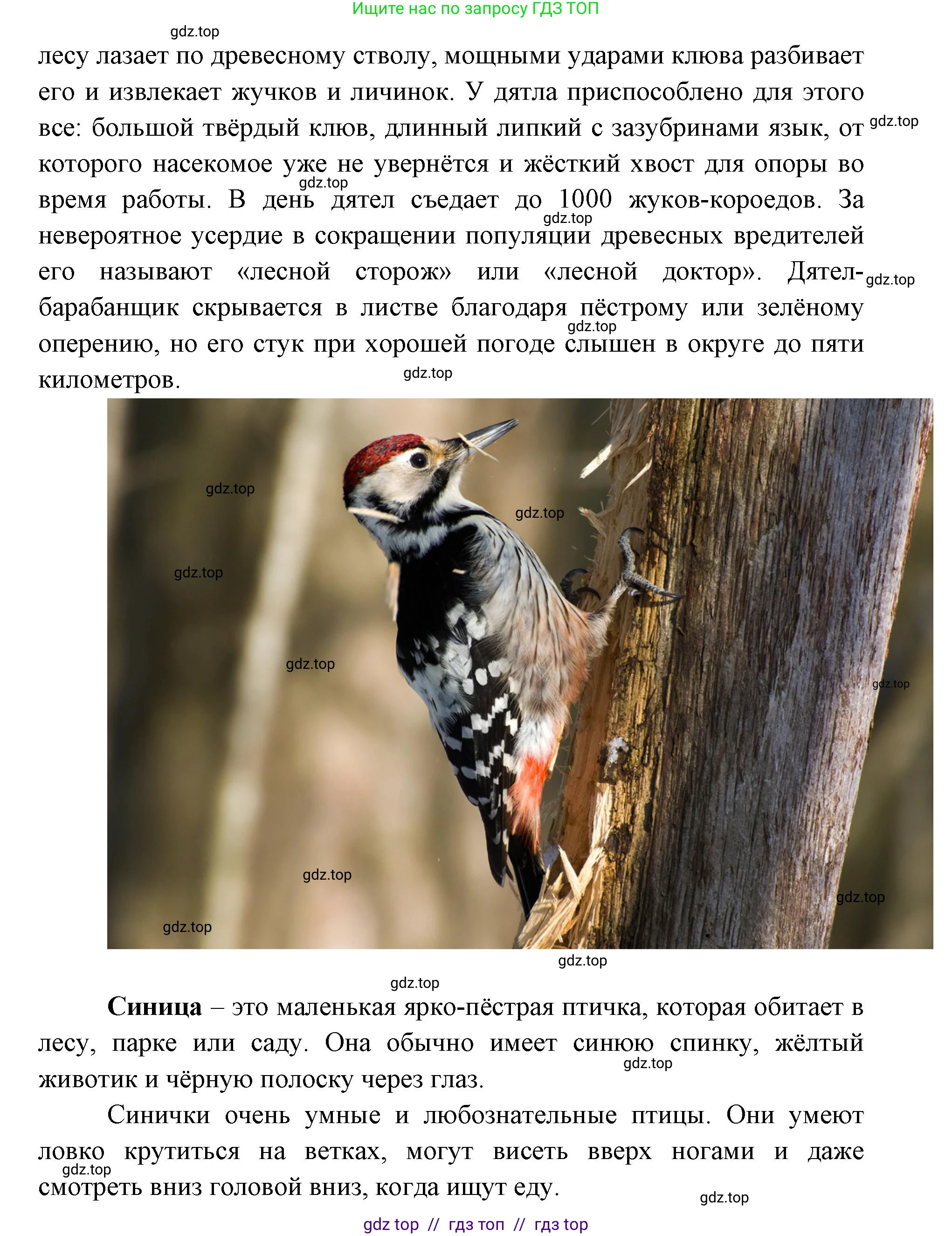 География, 5-6 класс Практические работы, автор: Дубинина Софья Петровна, издательство Просвещение, Москва, 2023, жёлтого цвета, страница 4, номер 2, Решение 2 (продолжение 22)