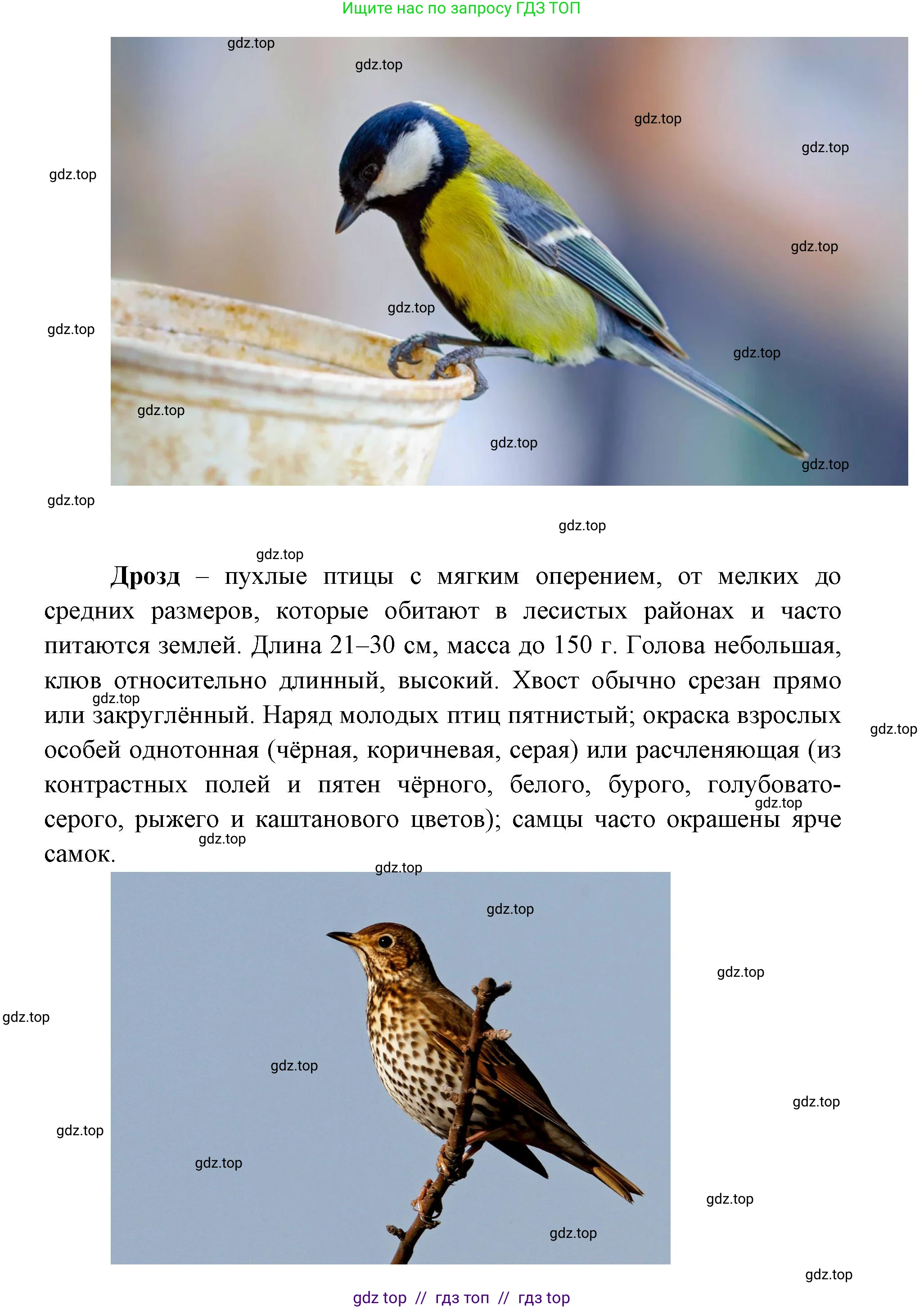 География, 5-6 класс Практические работы, автор: Дубинина Софья Петровна, издательство Просвещение, Москва, 2023, жёлтого цвета, страница 4, номер 2, Решение 2 (продолжение 23)