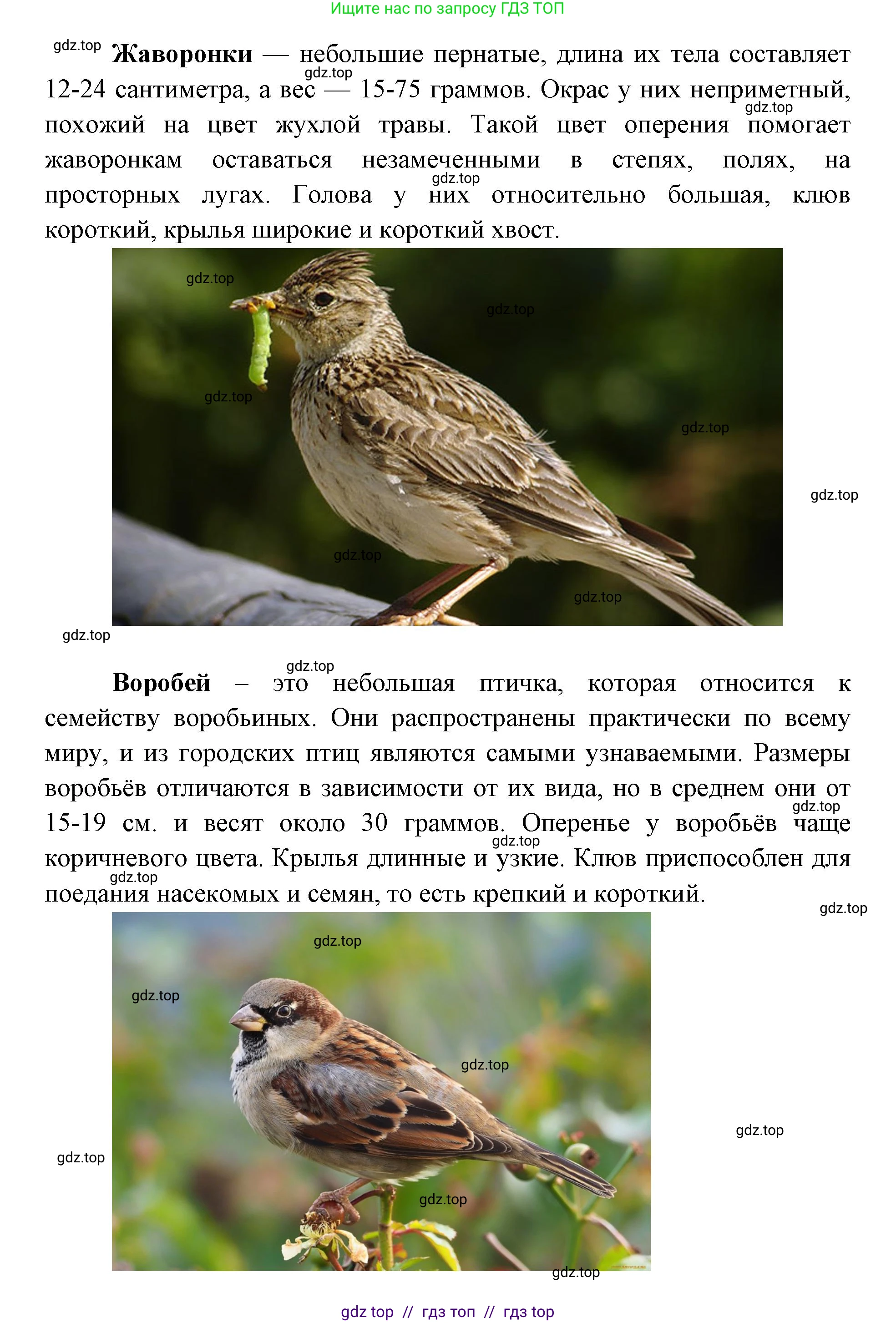 География, 5-6 класс Практические работы, автор: Дубинина Софья Петровна, издательство Просвещение, Москва, 2023, жёлтого цвета, страница 4, номер 2, Решение 2 (продолжение 24)
