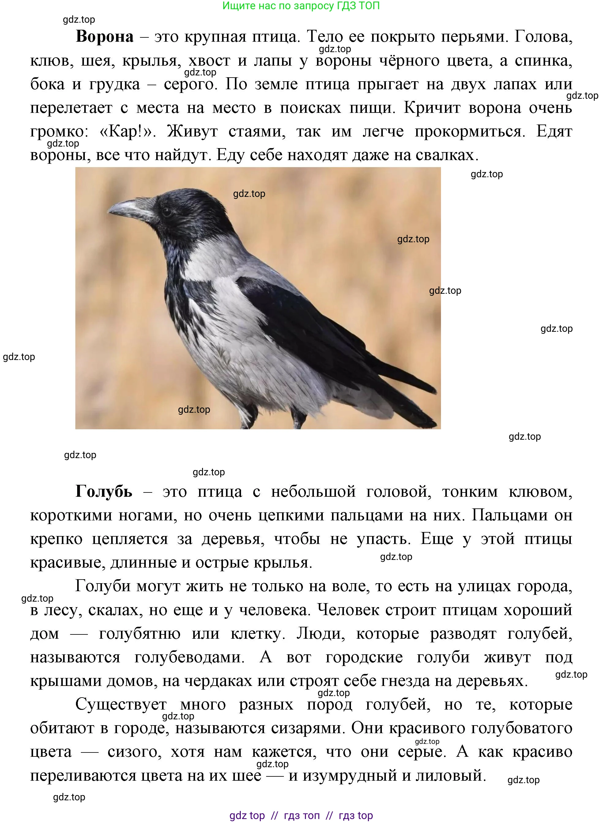 География, 5-6 класс Практические работы, автор: Дубинина Софья Петровна, издательство Просвещение, Москва, 2023, жёлтого цвета, страница 4, номер 2, Решение 2 (продолжение 25)