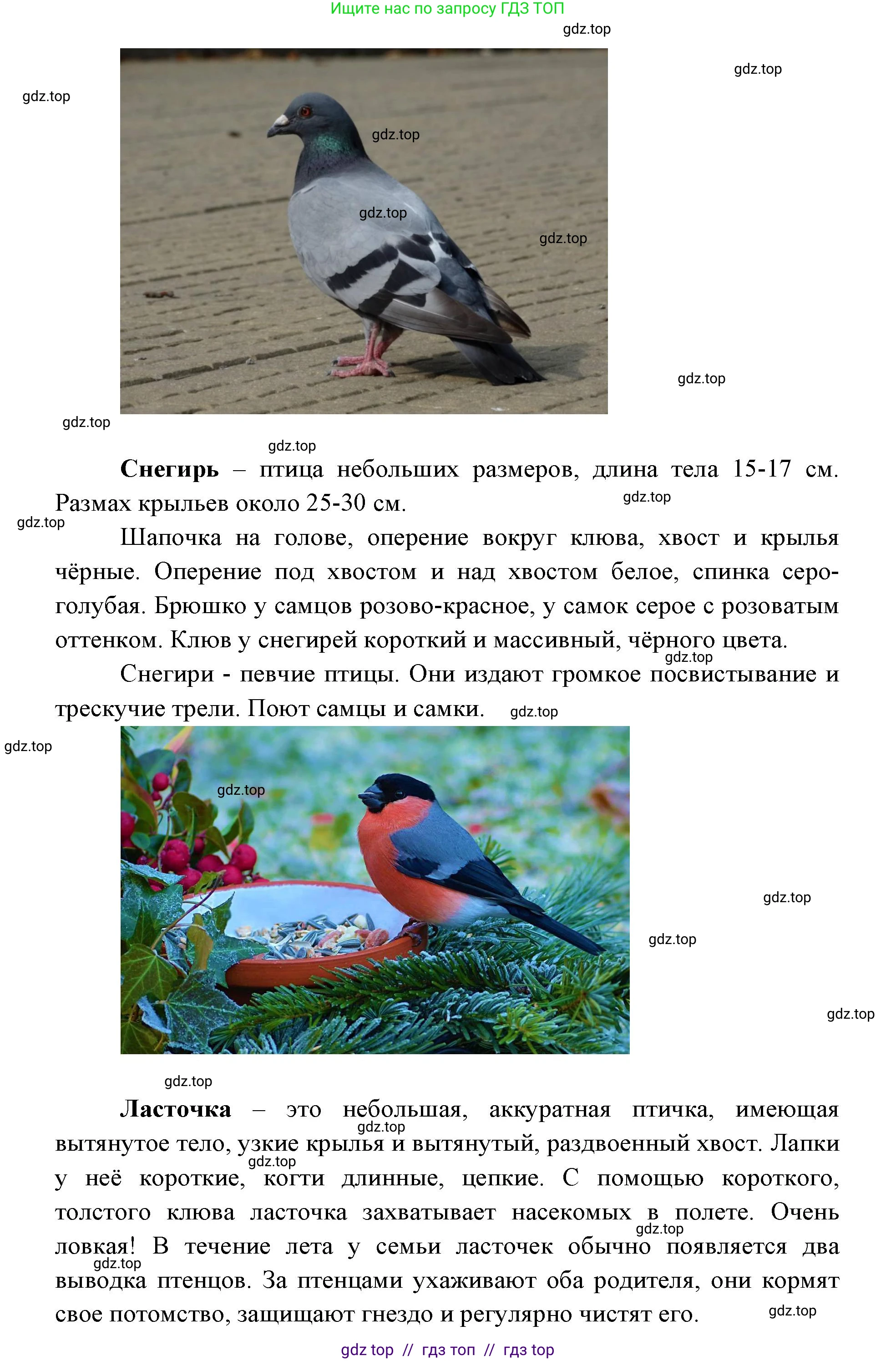 География, 5-6 класс Практические работы, автор: Дубинина Софья Петровна, издательство Просвещение, Москва, 2023, жёлтого цвета, страница 4, номер 2, Решение 2 (продолжение 26)