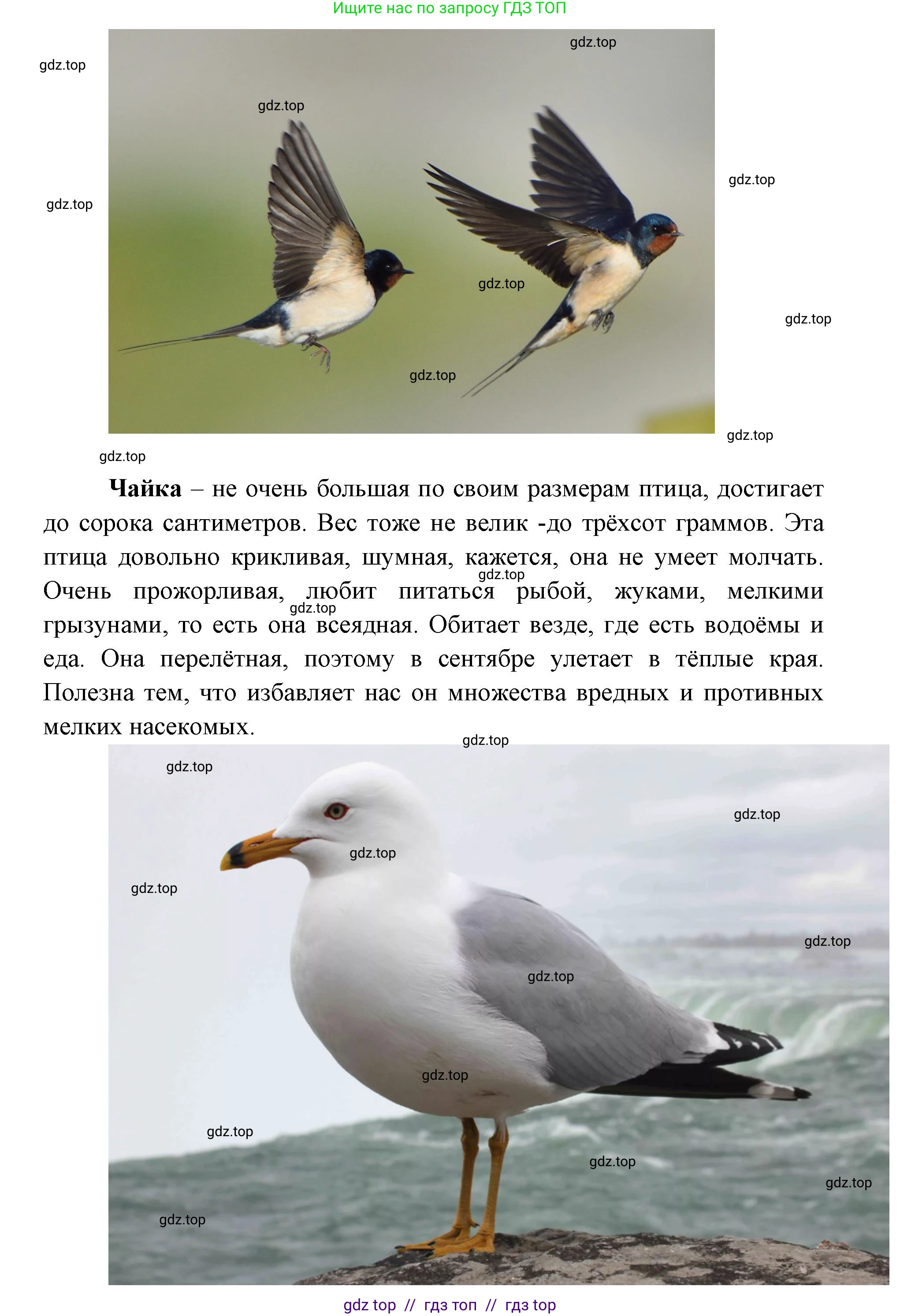 География, 5-6 класс Практические работы, автор: Дубинина Софья Петровна, издательство Просвещение, Москва, 2023, жёлтого цвета, страница 4, номер 2, Решение 2 (продолжение 27)