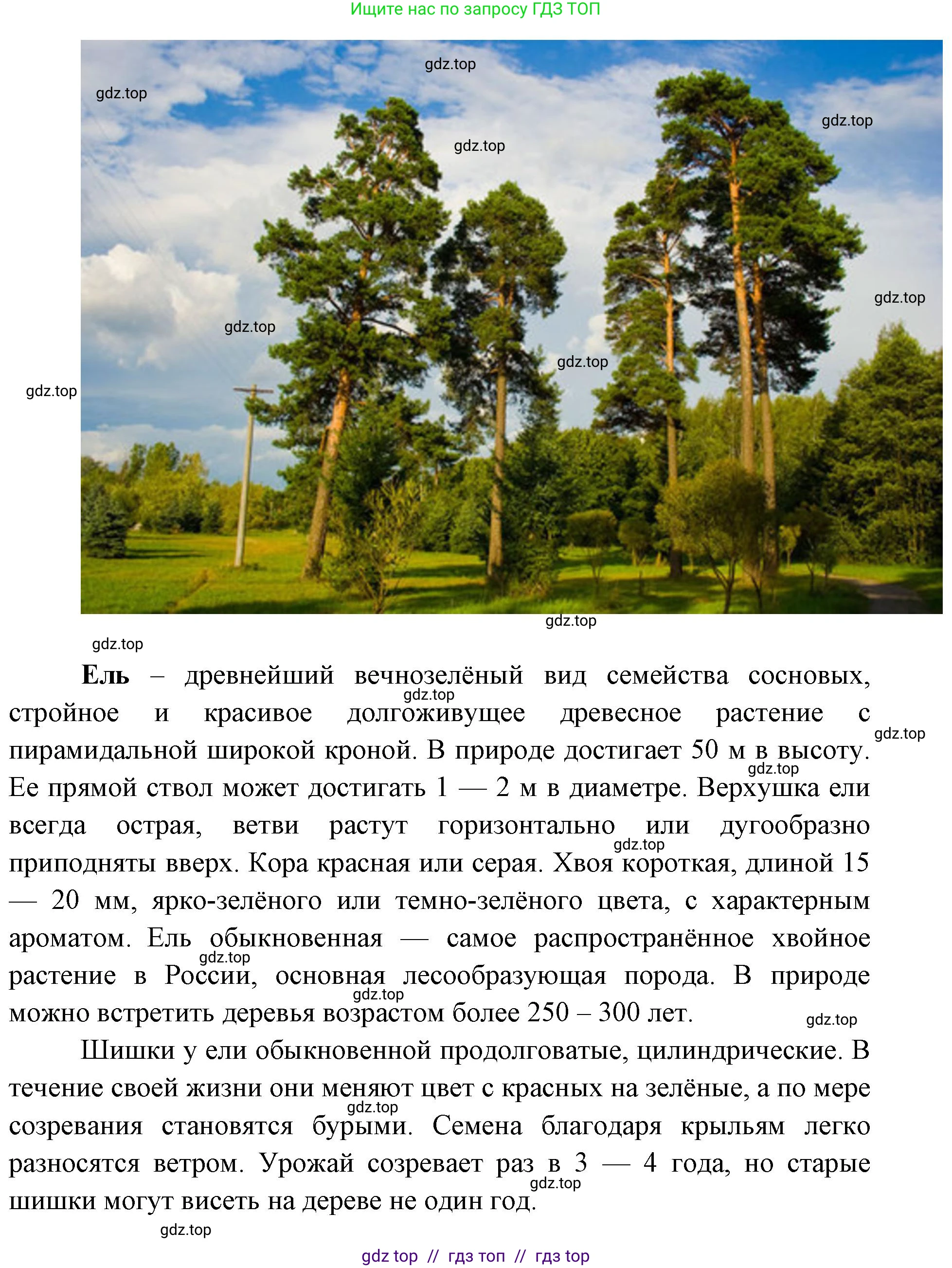 География, 5-6 класс Практические работы, автор: Дубинина Софья Петровна, издательство Просвещение, Москва, 2023, жёлтого цвета, страница 4, номер 2, Решение 2 (продолжение 3)