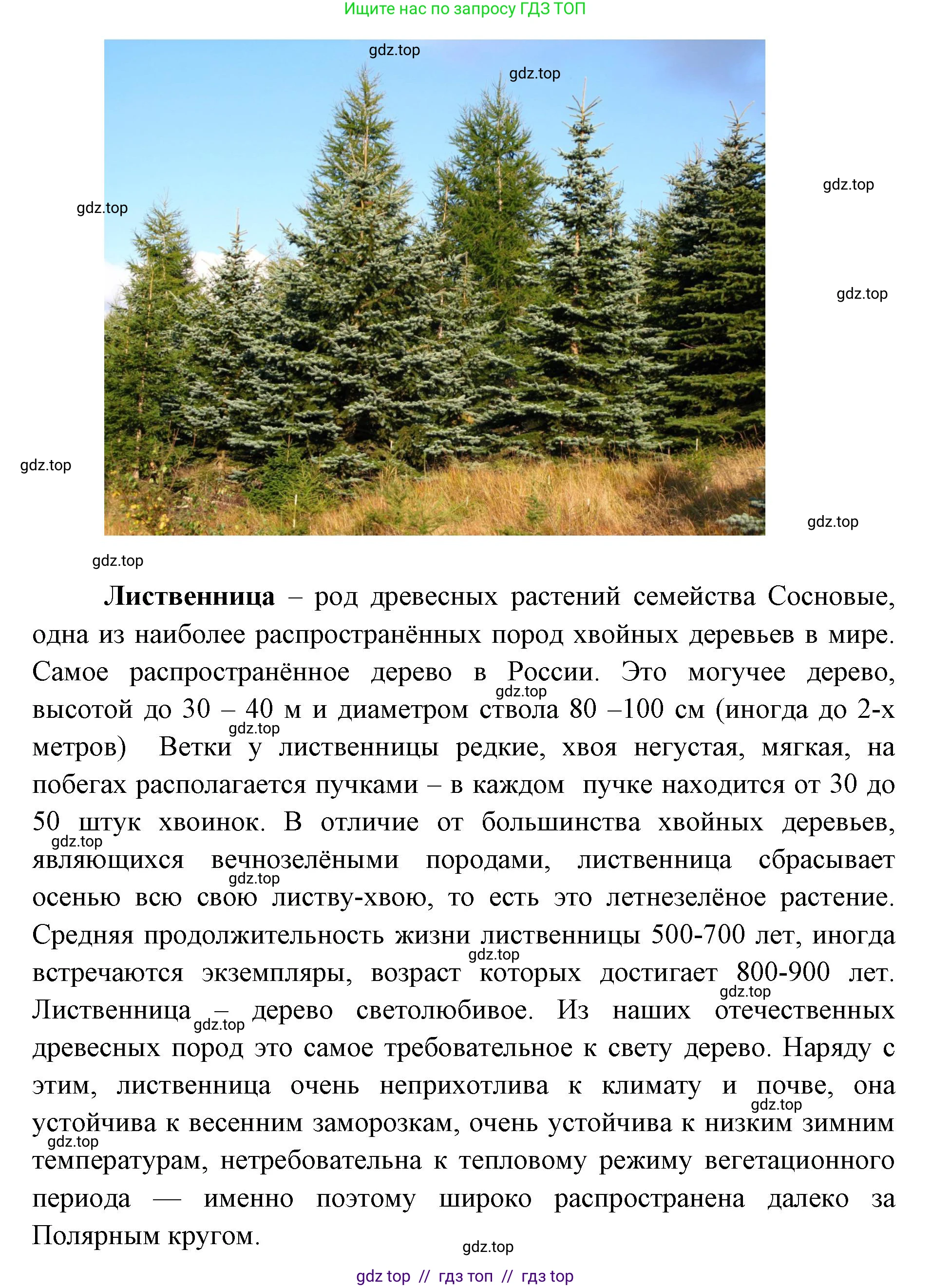 География, 5-6 класс Практические работы, автор: Дубинина Софья Петровна, издательство Просвещение, Москва, 2023, жёлтого цвета, страница 4, номер 2, Решение 2 (продолжение 4)