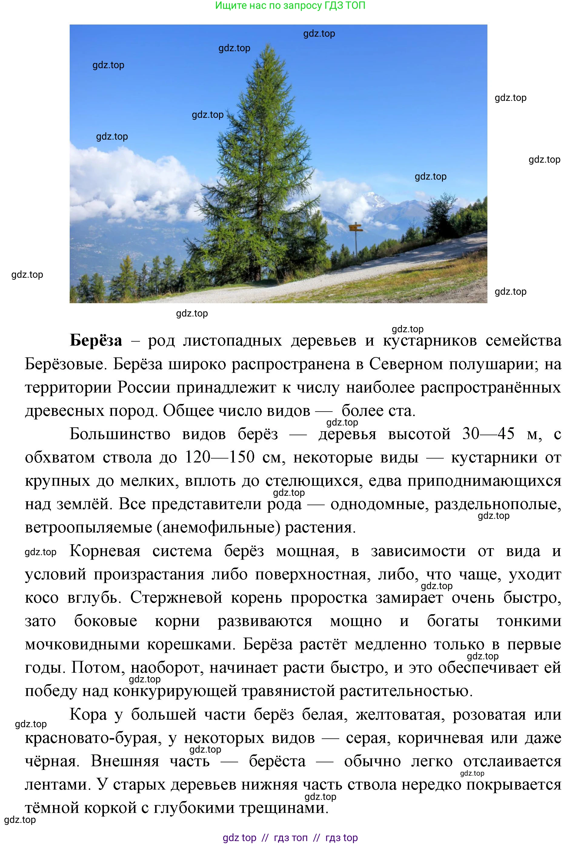 География, 5-6 класс Практические работы, автор: Дубинина Софья Петровна, издательство Просвещение, Москва, 2023, жёлтого цвета, страница 4, номер 2, Решение 2 (продолжение 5)