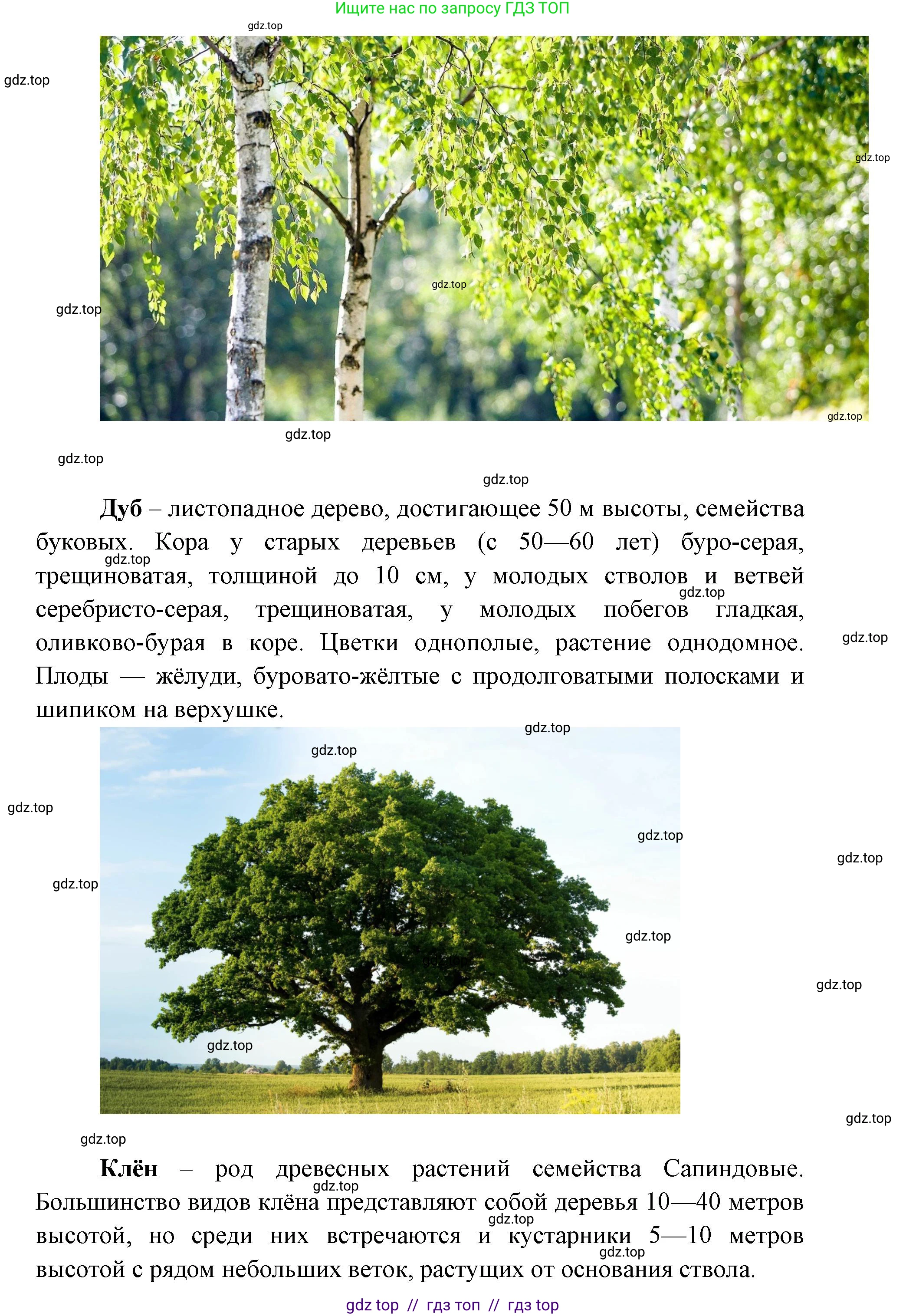 География, 5-6 класс Практические работы, автор: Дубинина Софья Петровна, издательство Просвещение, Москва, 2023, жёлтого цвета, страница 4, номер 2, Решение 2 (продолжение 6)