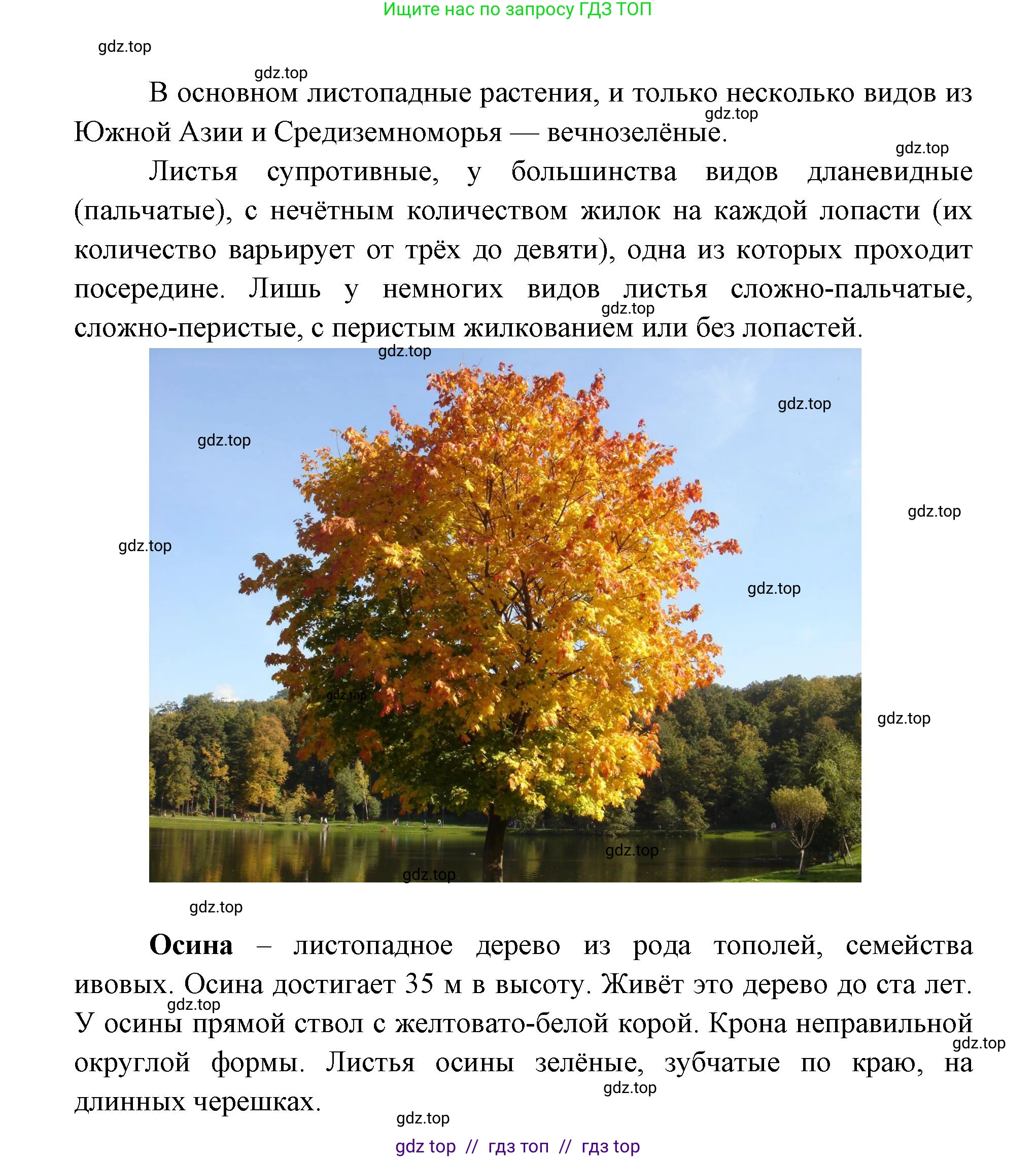 География, 5-6 класс Практические работы, автор: Дубинина Софья Петровна, издательство Просвещение, Москва, 2023, жёлтого цвета, страница 4, номер 2, Решение 2 (продолжение 7)