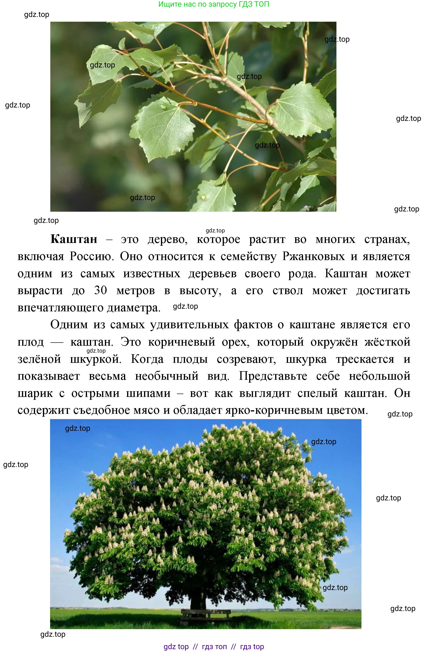 География, 5-6 класс Практические работы, автор: Дубинина Софья Петровна, издательство Просвещение, Москва, 2023, жёлтого цвета, страница 4, номер 2, Решение 2 (продолжение 8)