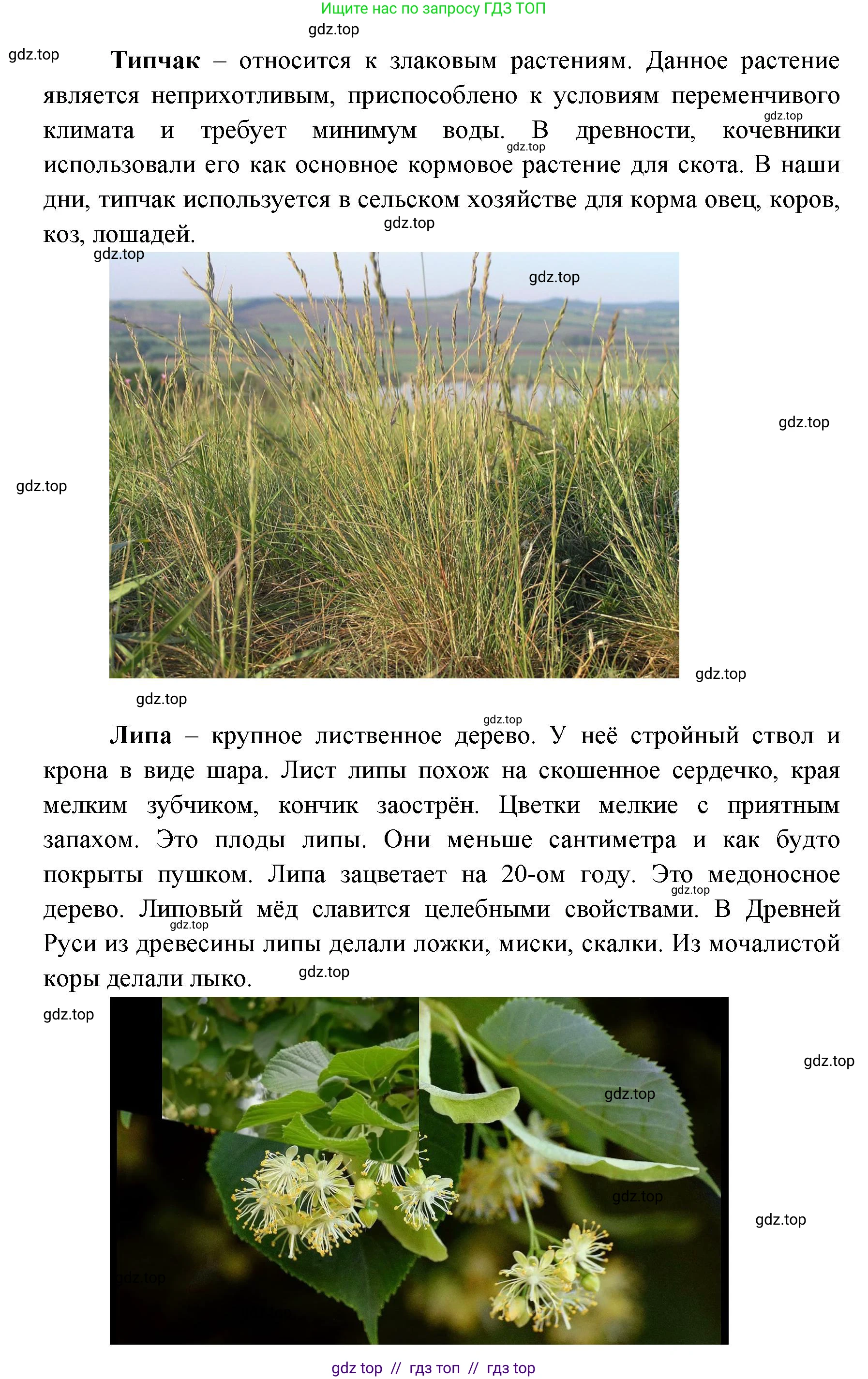География, 5-6 класс Практические работы, автор: Дубинина Софья Петровна, издательство Просвещение, Москва, 2023, жёлтого цвета, страница 4, номер 2, Решение 2 (продолжение 9)