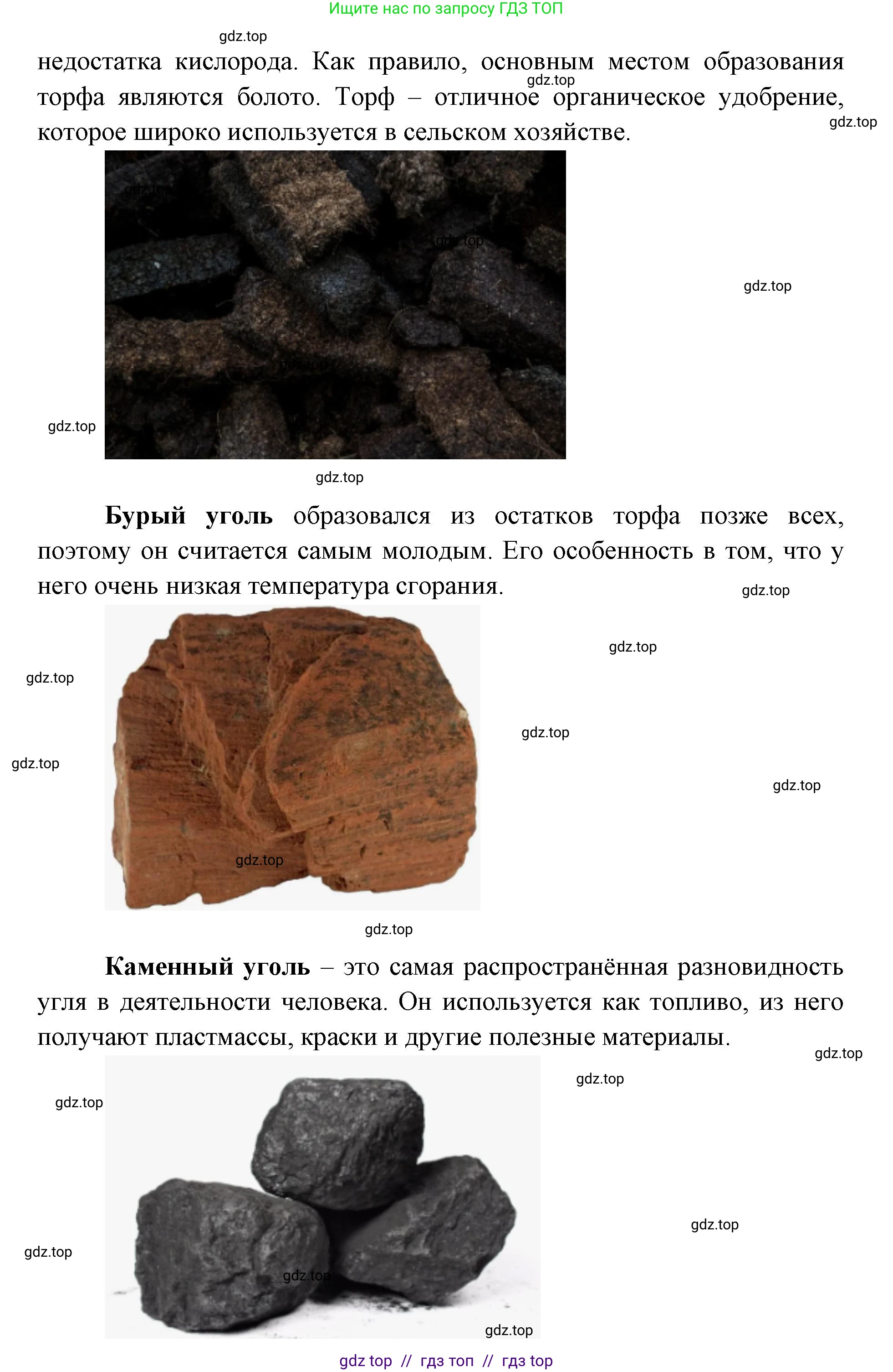 География, 5-6 класс Практические работы, автор: Дубинина Софья Петровна, издательство Просвещение, Москва, 2023, жёлтого цвета, страница 16, номер 1, Решение 2 (продолжение 3)