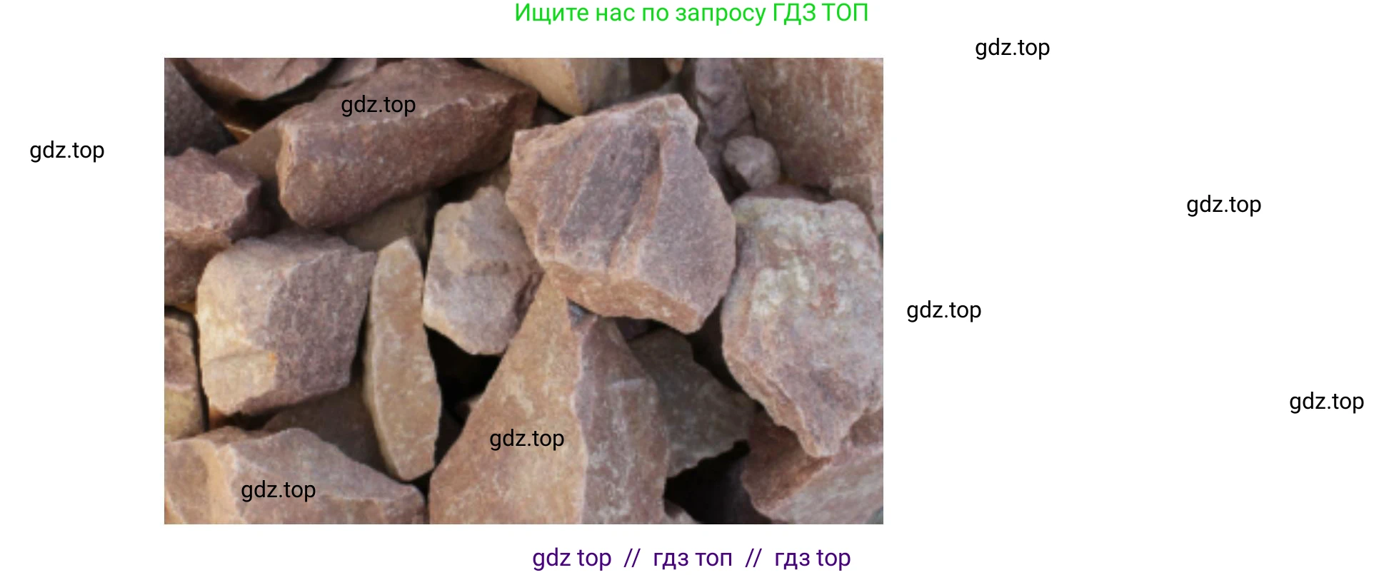 География, 5-6 класс Практические работы, автор: Дубинина Софья Петровна, издательство Просвещение, Москва, 2023, жёлтого цвета, страница 17, номер 4, Решение 2 (продолжение 8)