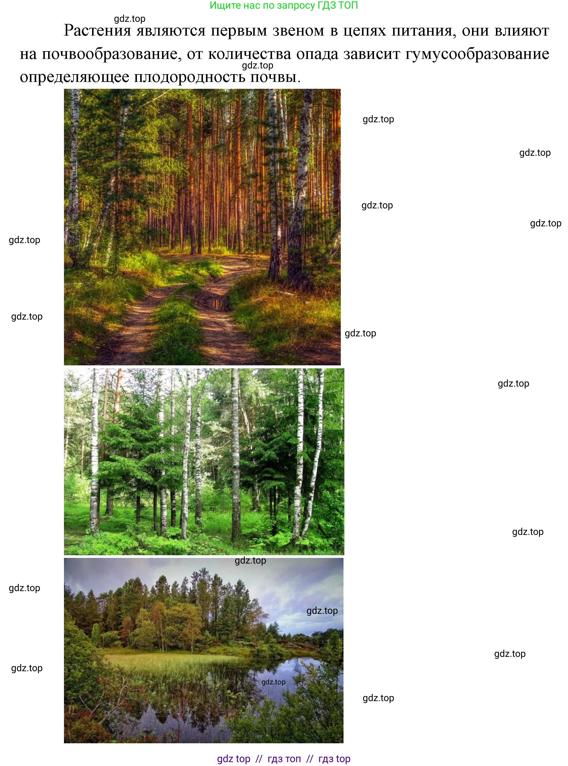 География, 5-6 класс Практические работы, автор: Дубинина Софья Петровна, издательство Просвещение, Москва, 2023, жёлтого цвета, страница 32, номер 6, Решение 2 (продолжение 2)