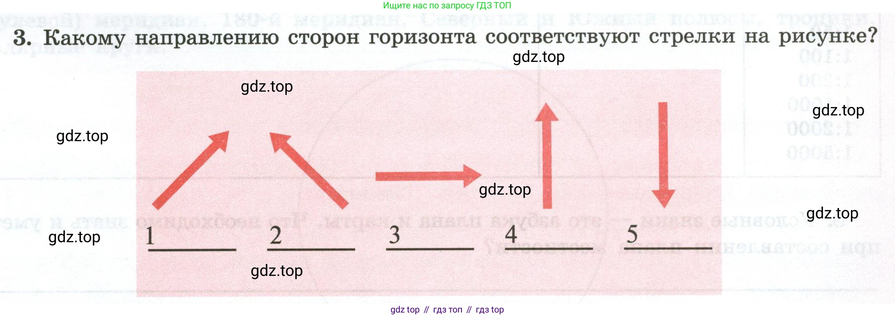 ГДЗ География, 5-6 класс Мой тренажёр, автор: Николина Вера Викторовна, издательство Просвещение, Москва, 2023, жёлтого цвета, страница 17, номер 3, Условие