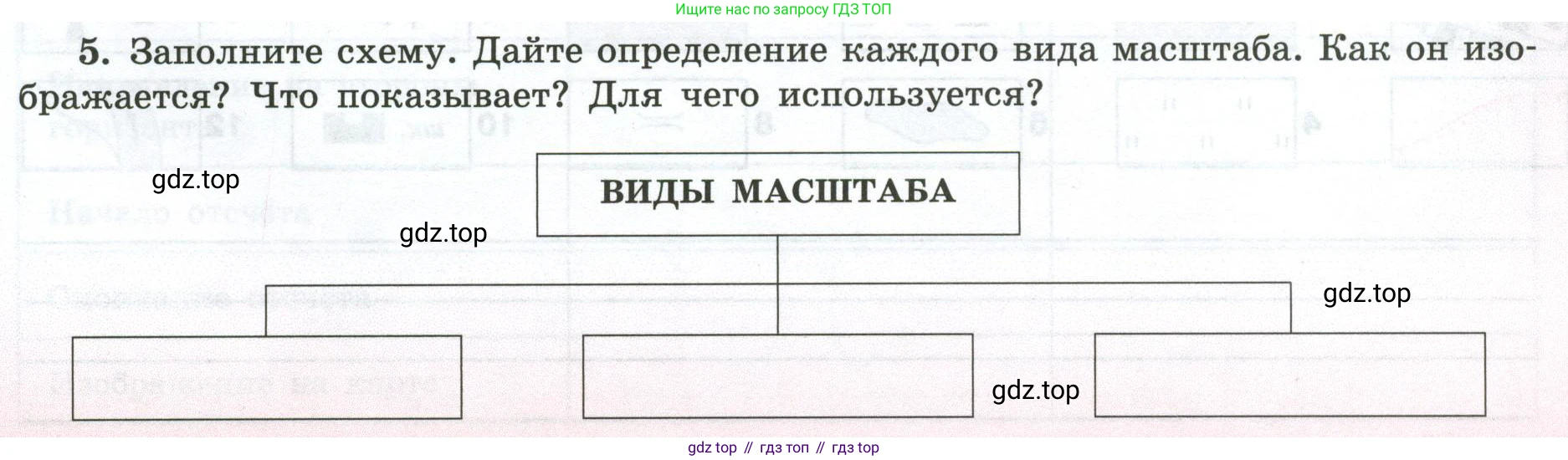 ГДЗ География, 5-6 класс Мой тренажёр, автор: Николина Вера Викторовна, издательство Просвещение, Москва, 2023, жёлтого цвета, страница 17, номер 5, Условие